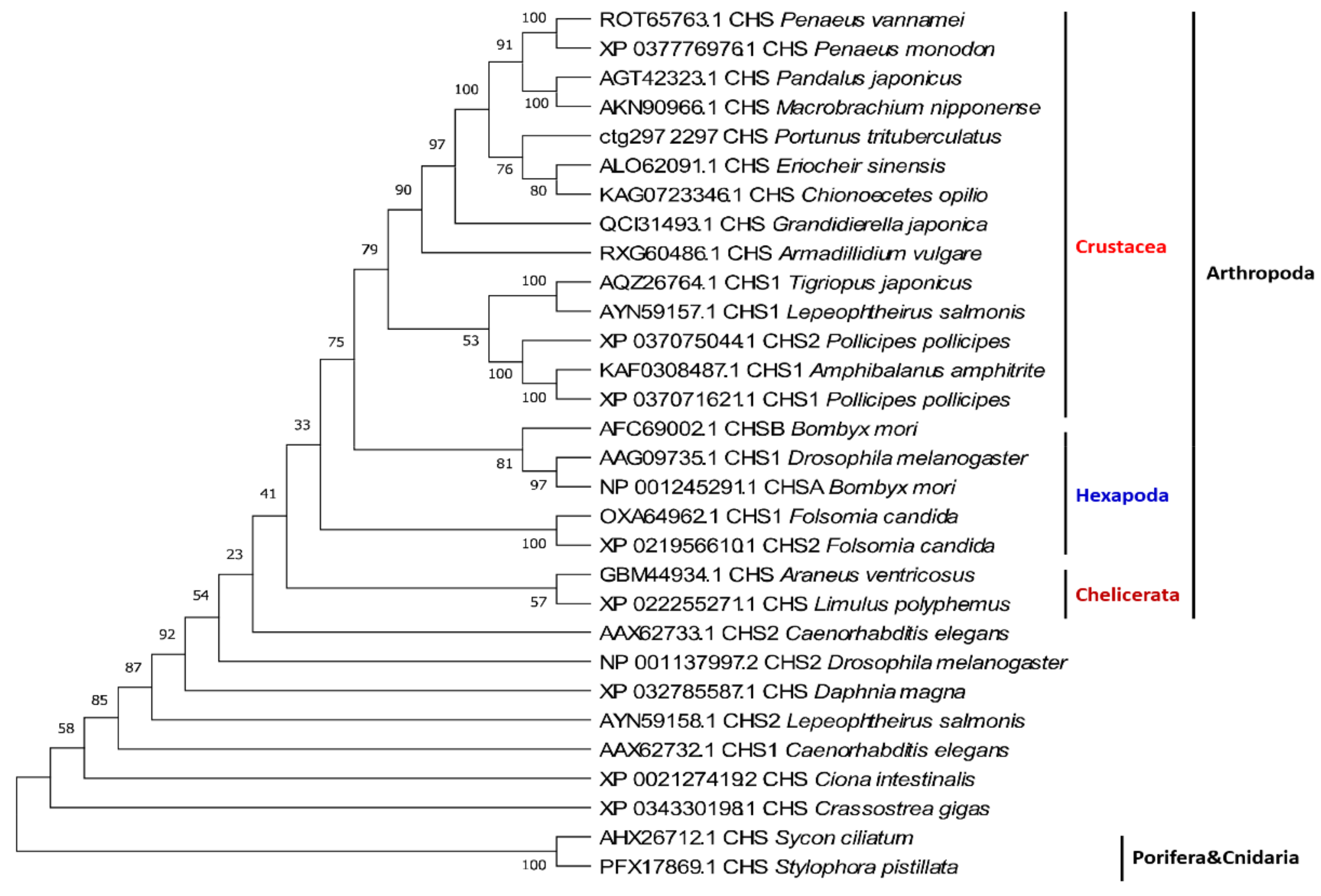 Marinedrugs 19 00153 g005