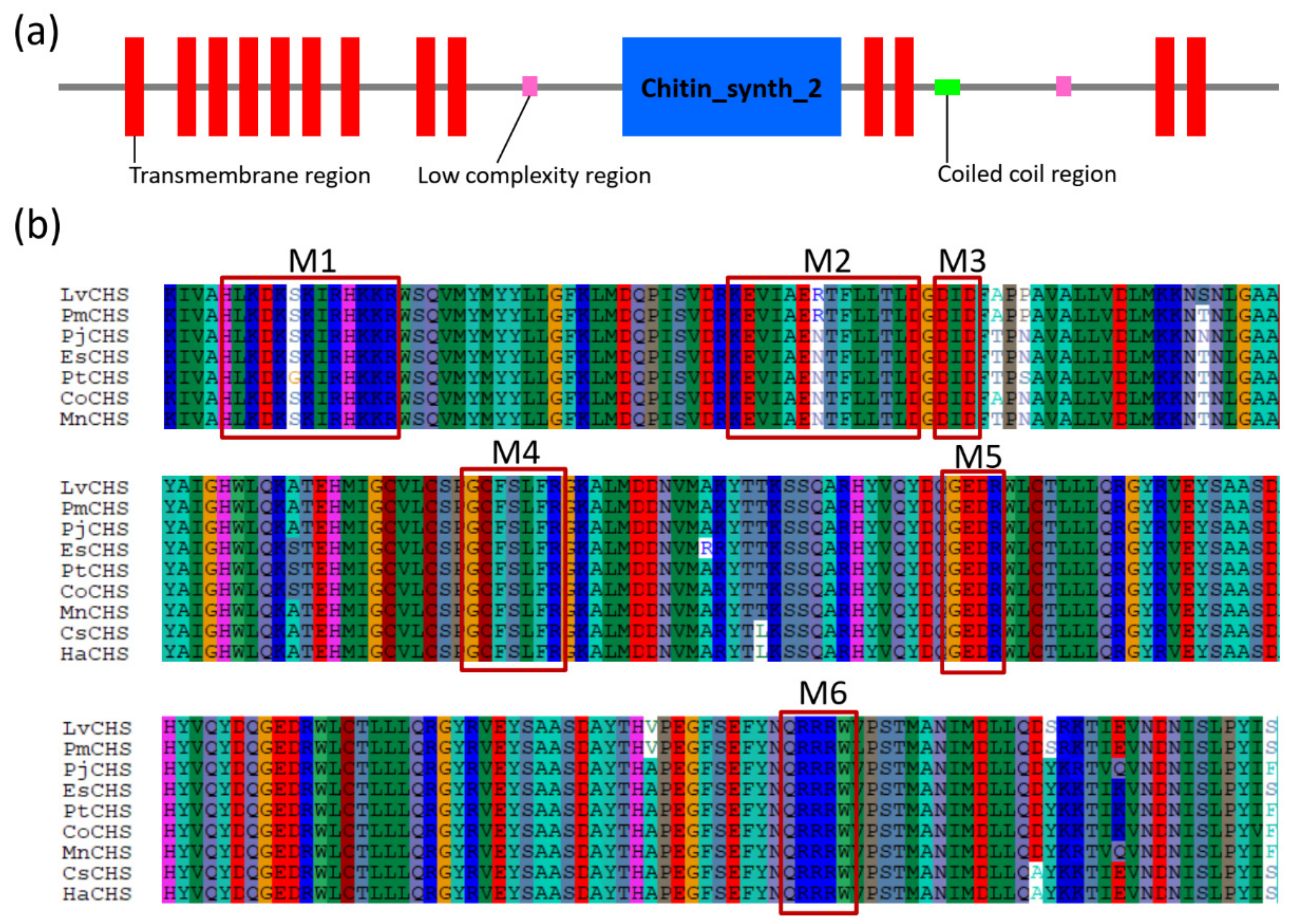 Marinedrugs 19 00153 g006