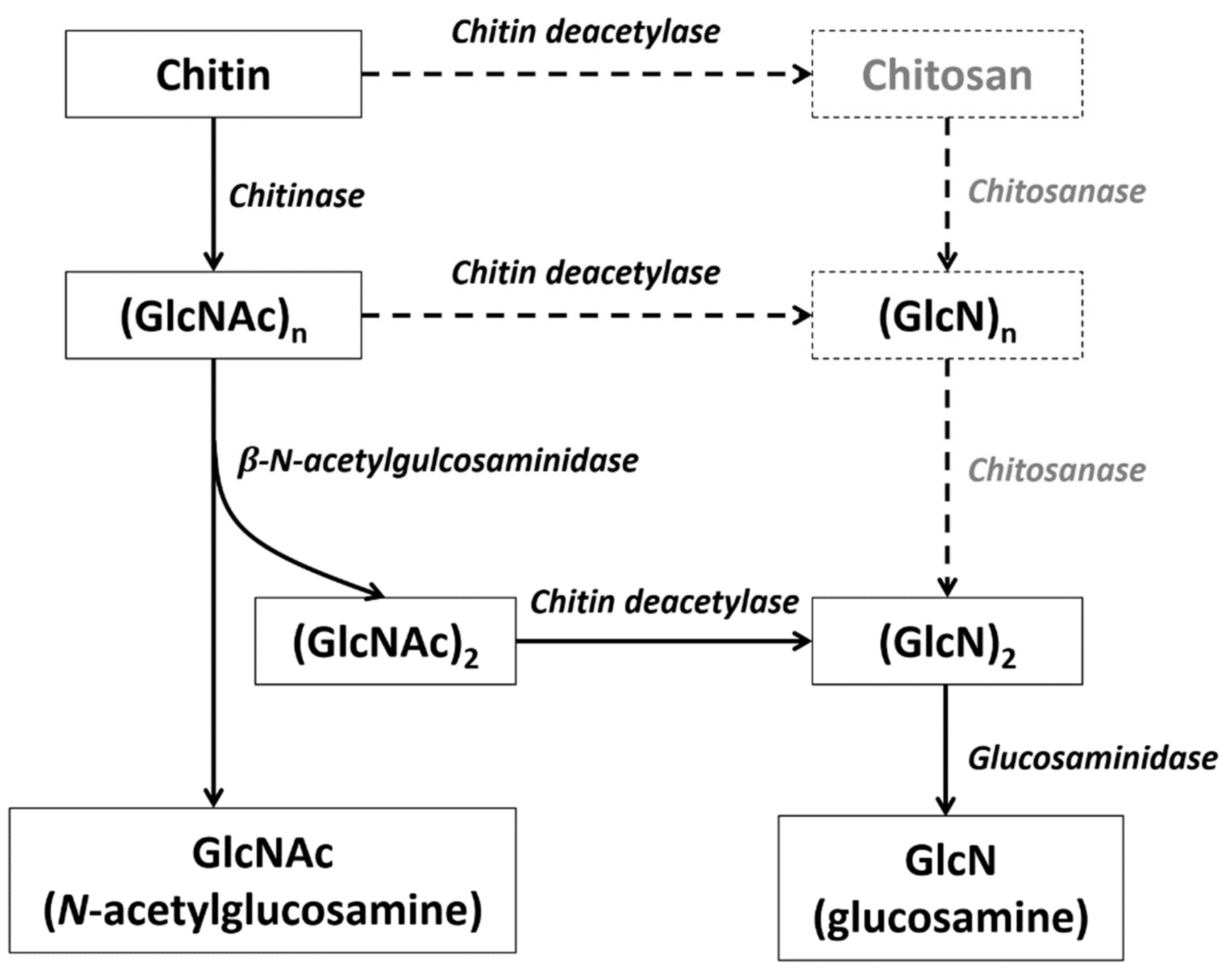 Marinedrugs 19 00153 g007