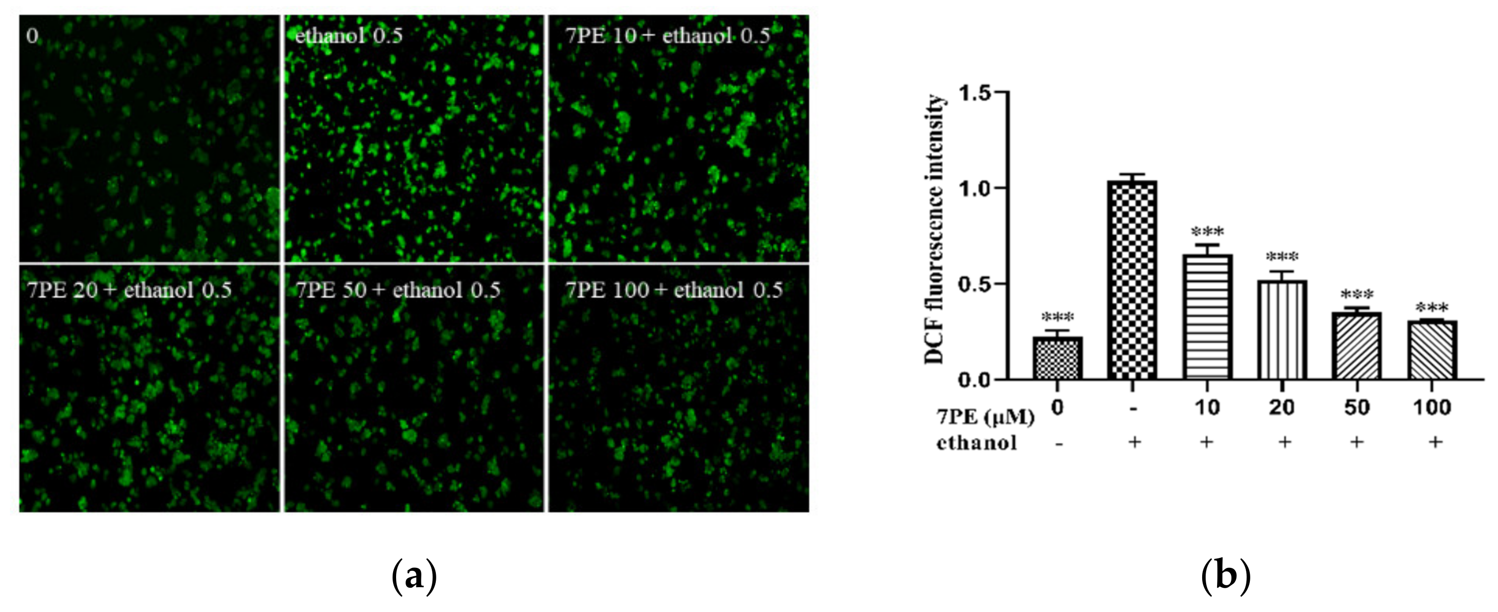 Marinedrugs 19 00158 g002a