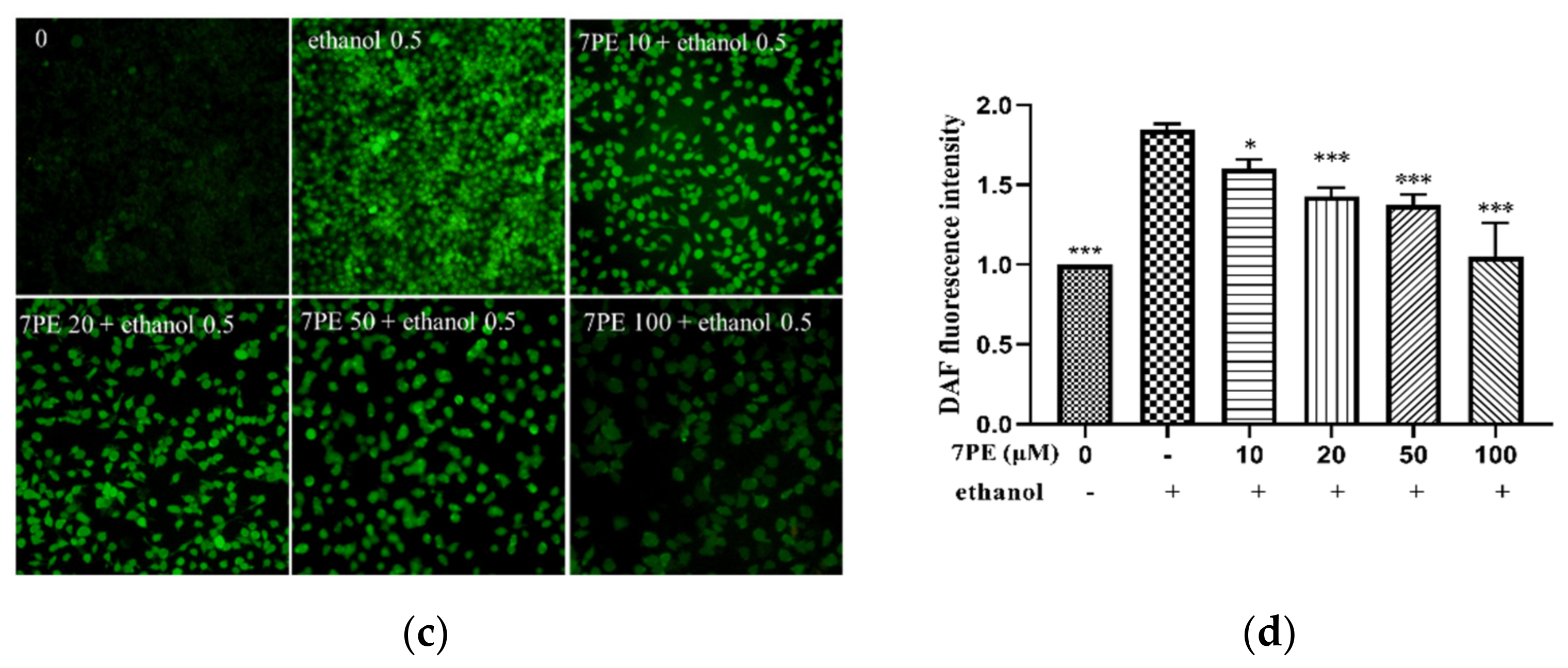 Marinedrugs 19 00158 g002b