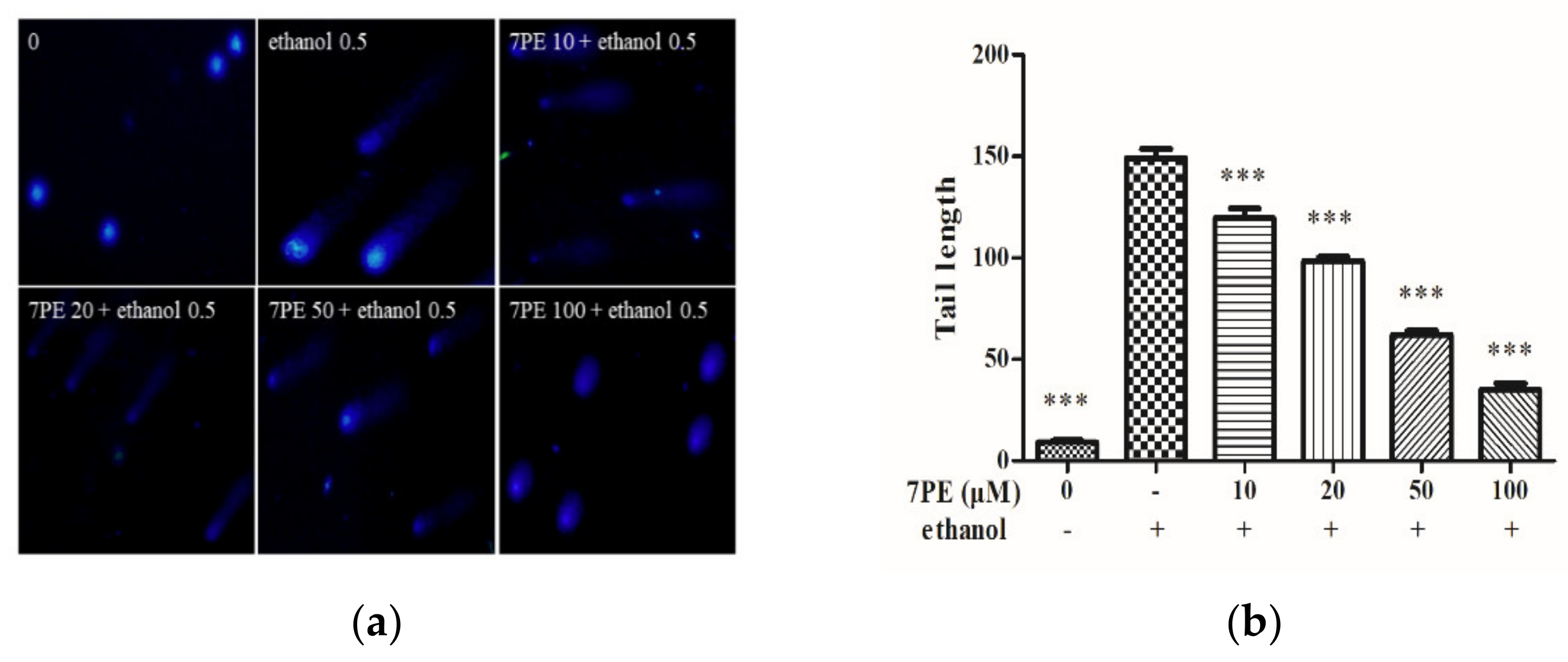 Marinedrugs 19 00158 g003