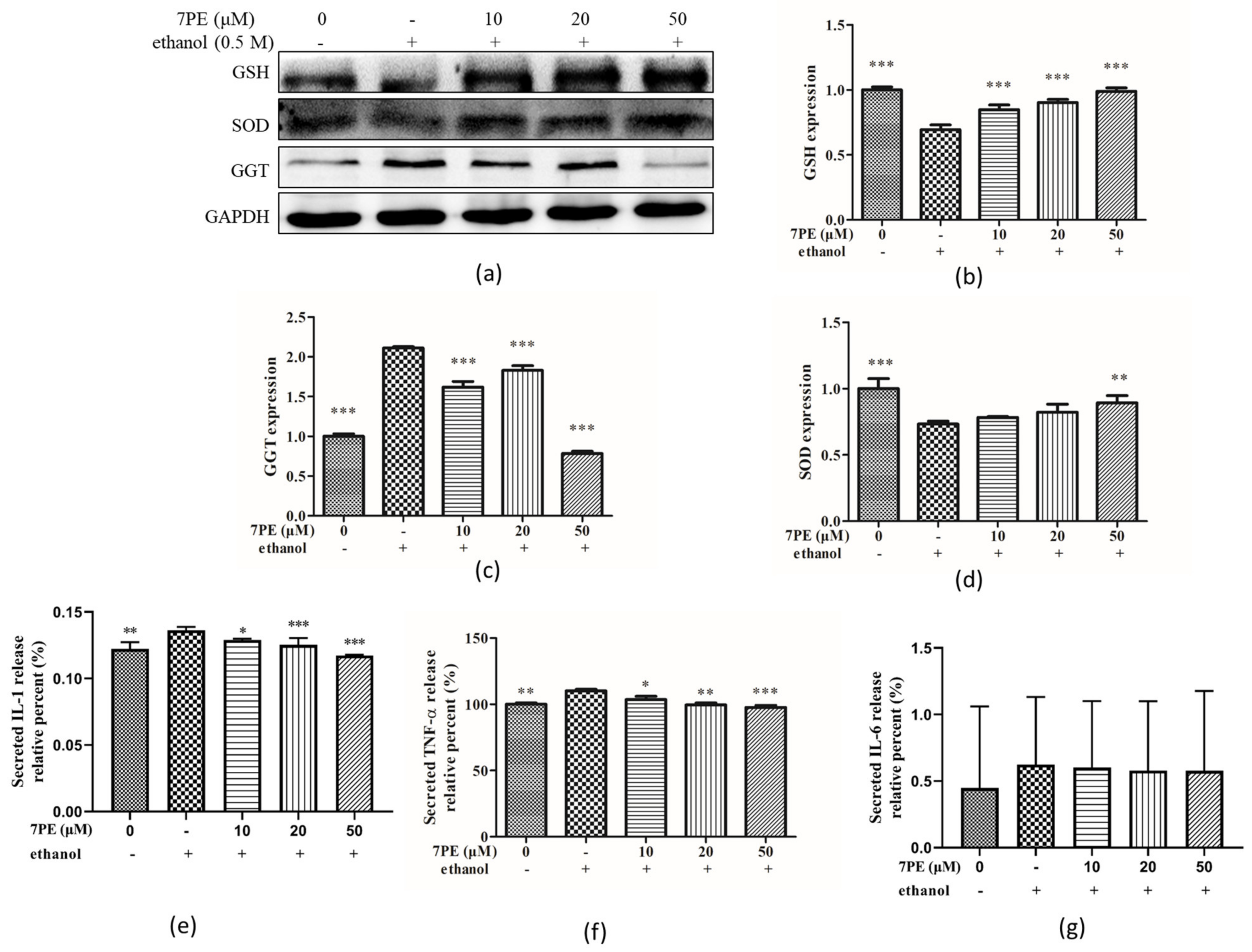 Marinedrugs 19 00158 g004