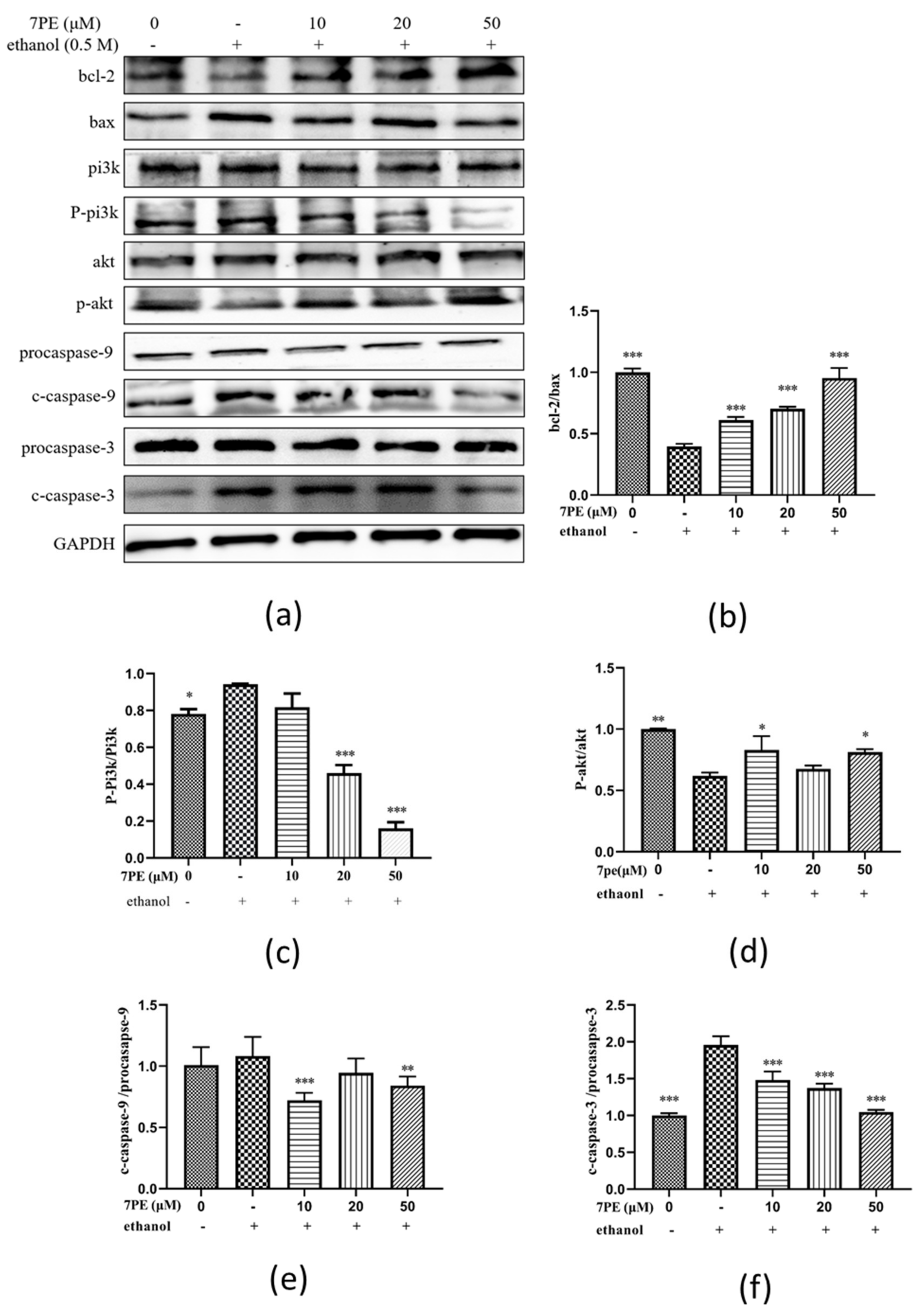 Marinedrugs 19 00158 g005