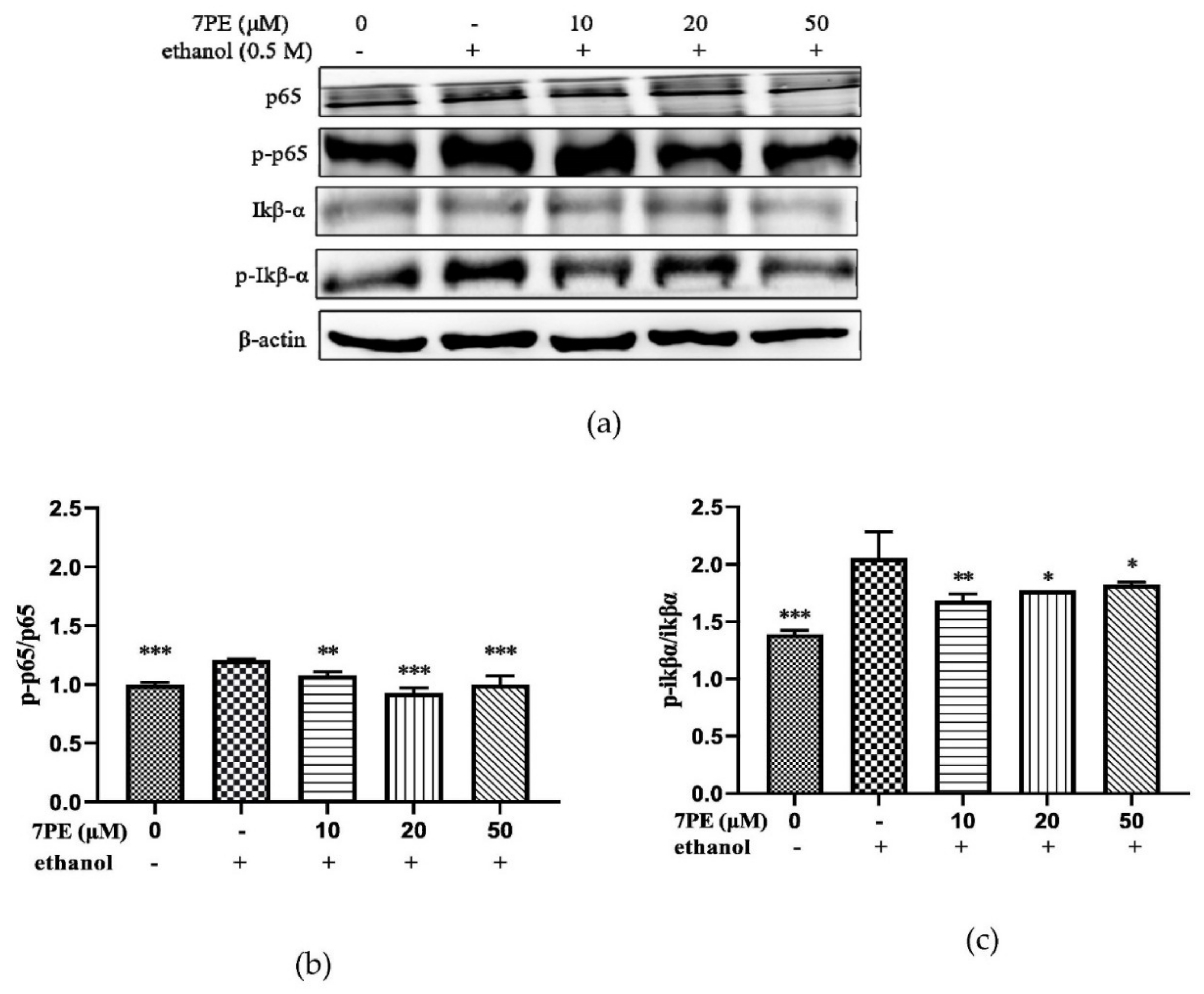 Marinedrugs 19 00158 g006