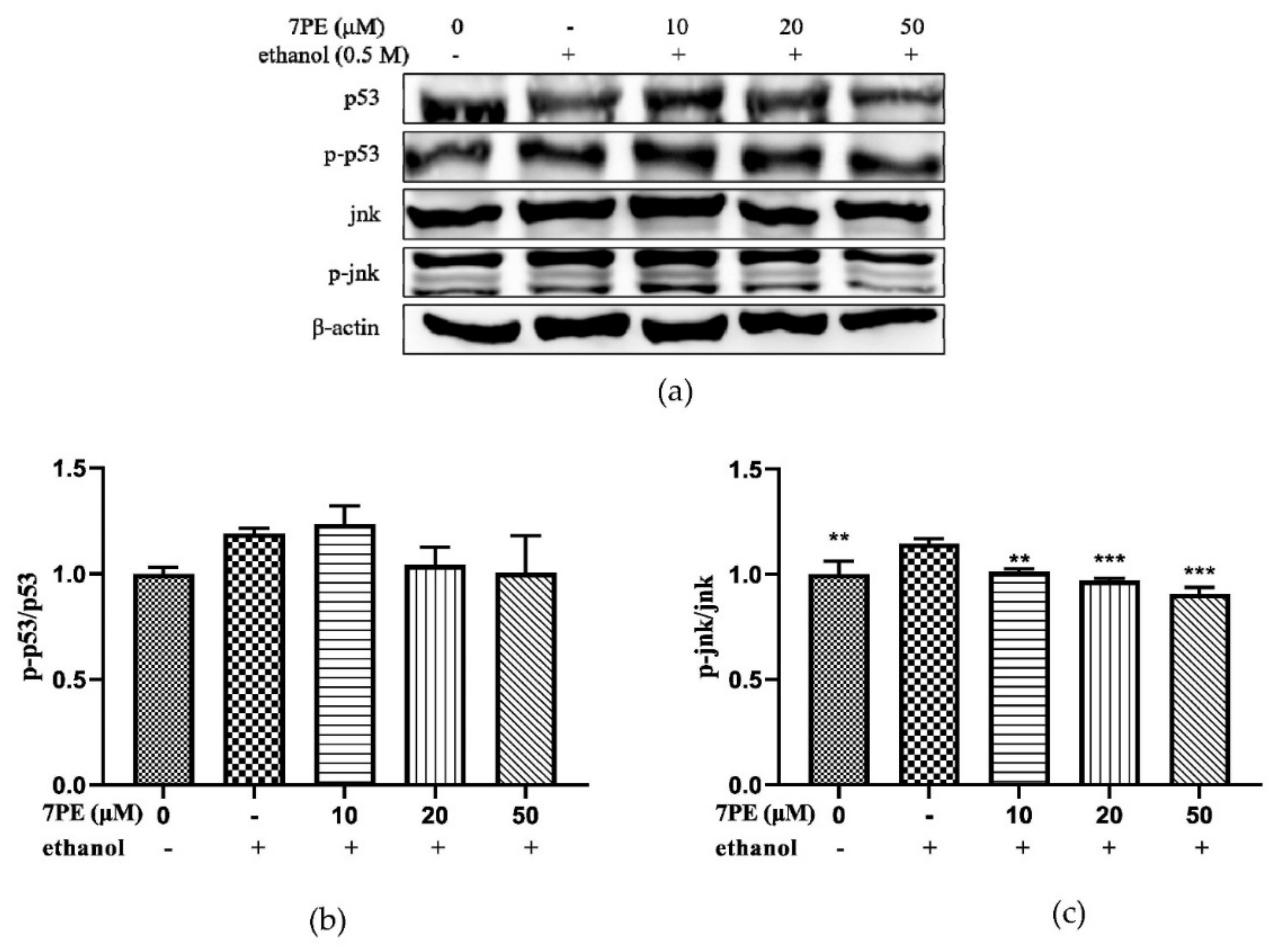 Marinedrugs 19 00158 g007