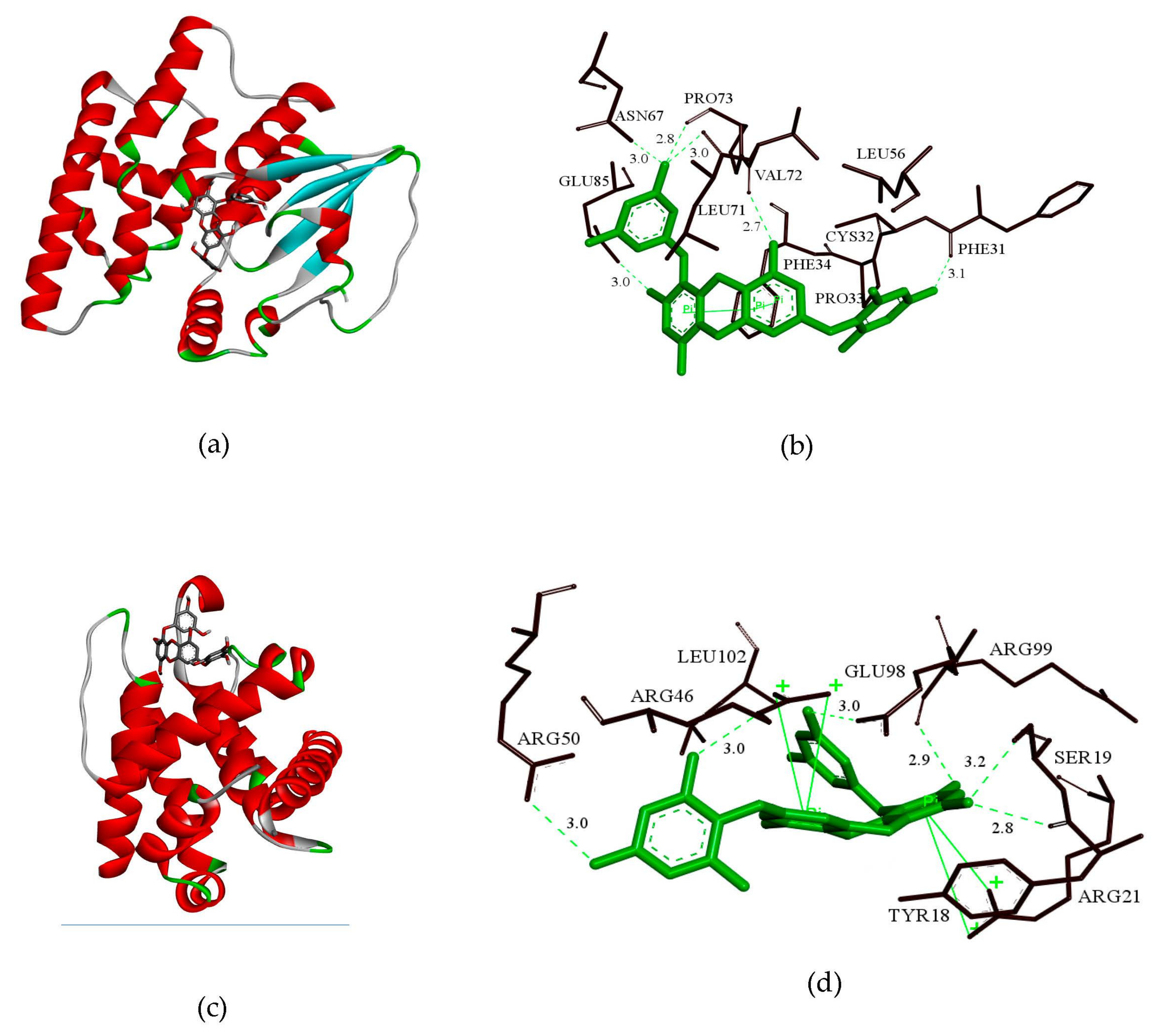 Marinedrugs 19 00158 g008