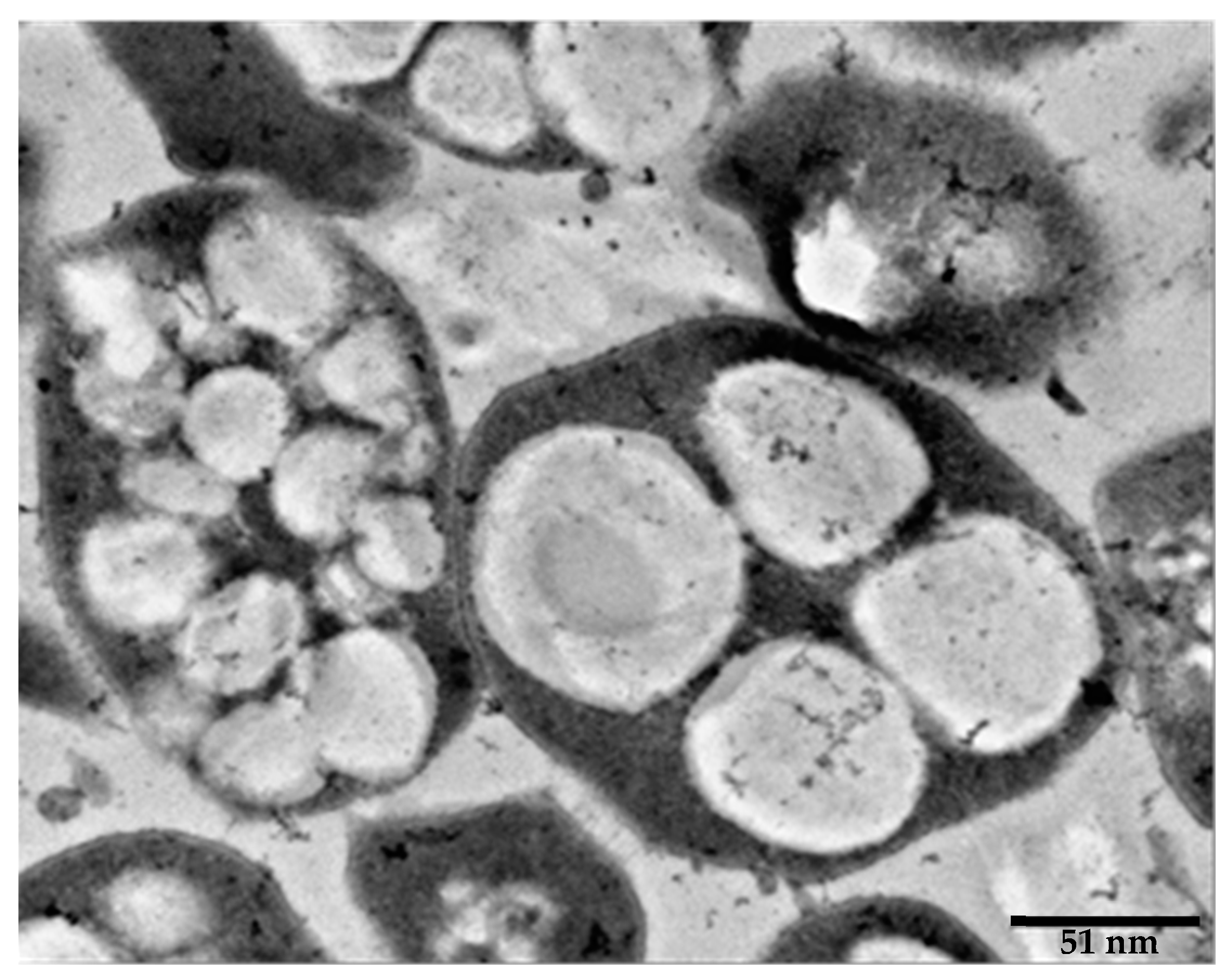 Marinedrugs 19 00159 g003