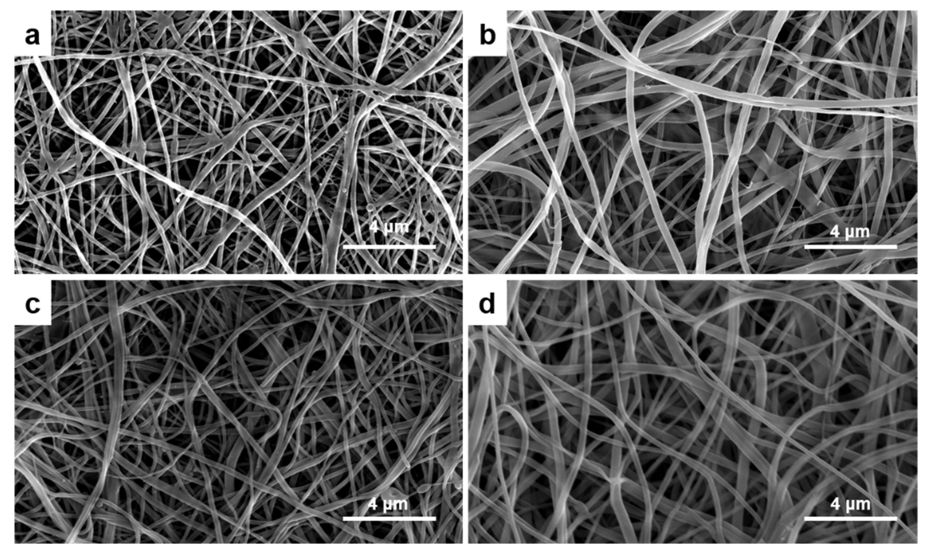 Marinedrugs 19 00169 g001