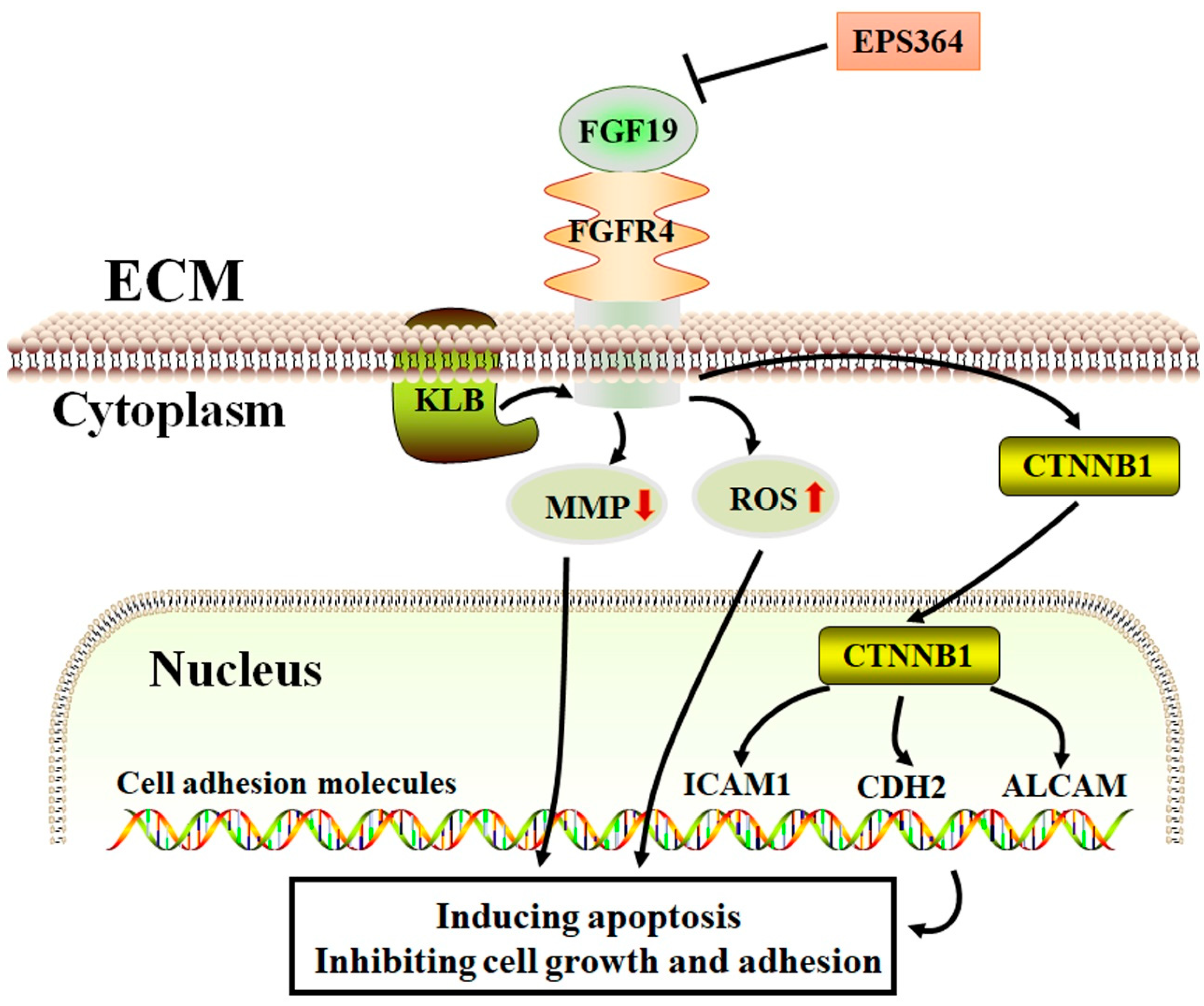 Marinedrugs 19 00171 g008