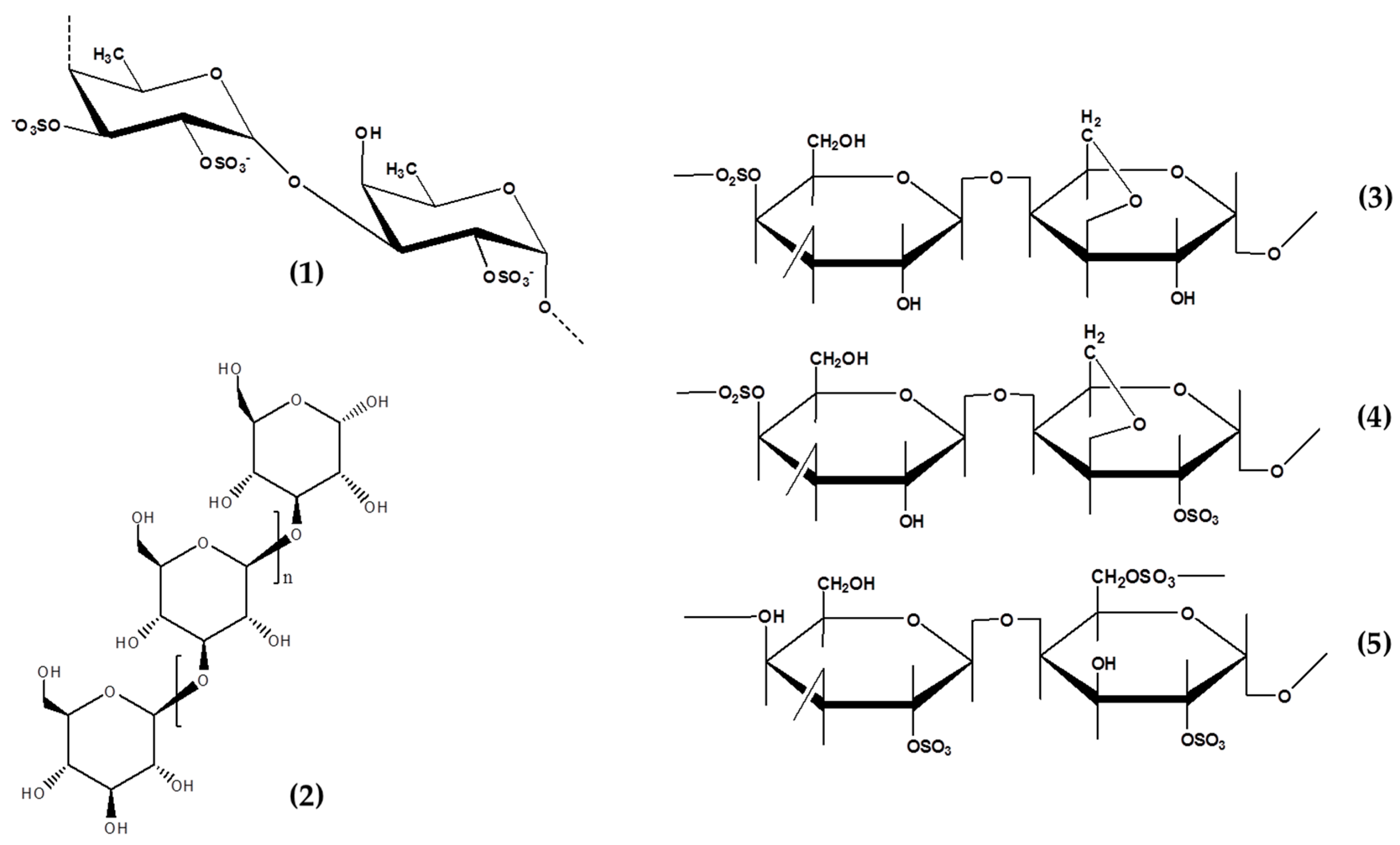 Marinedrugs 19 00172 g001