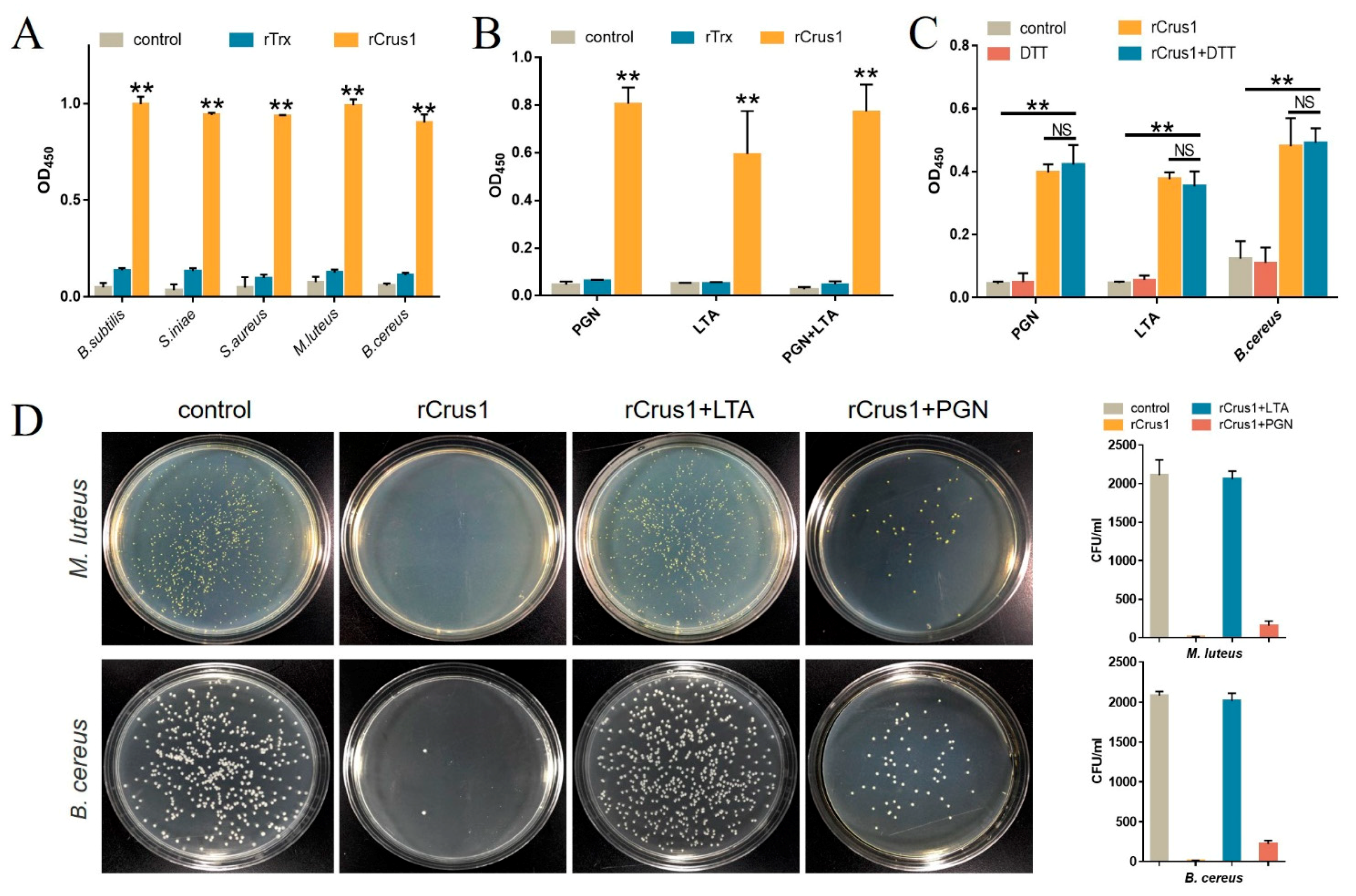 Marinedrugs 19 00176 g003 Marinedrugs 19 00176 g003