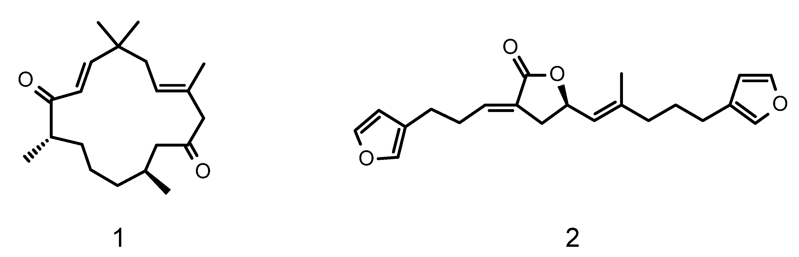 Marinedrugs 19 00179 g001 Marinedrugs 19 00179 g001