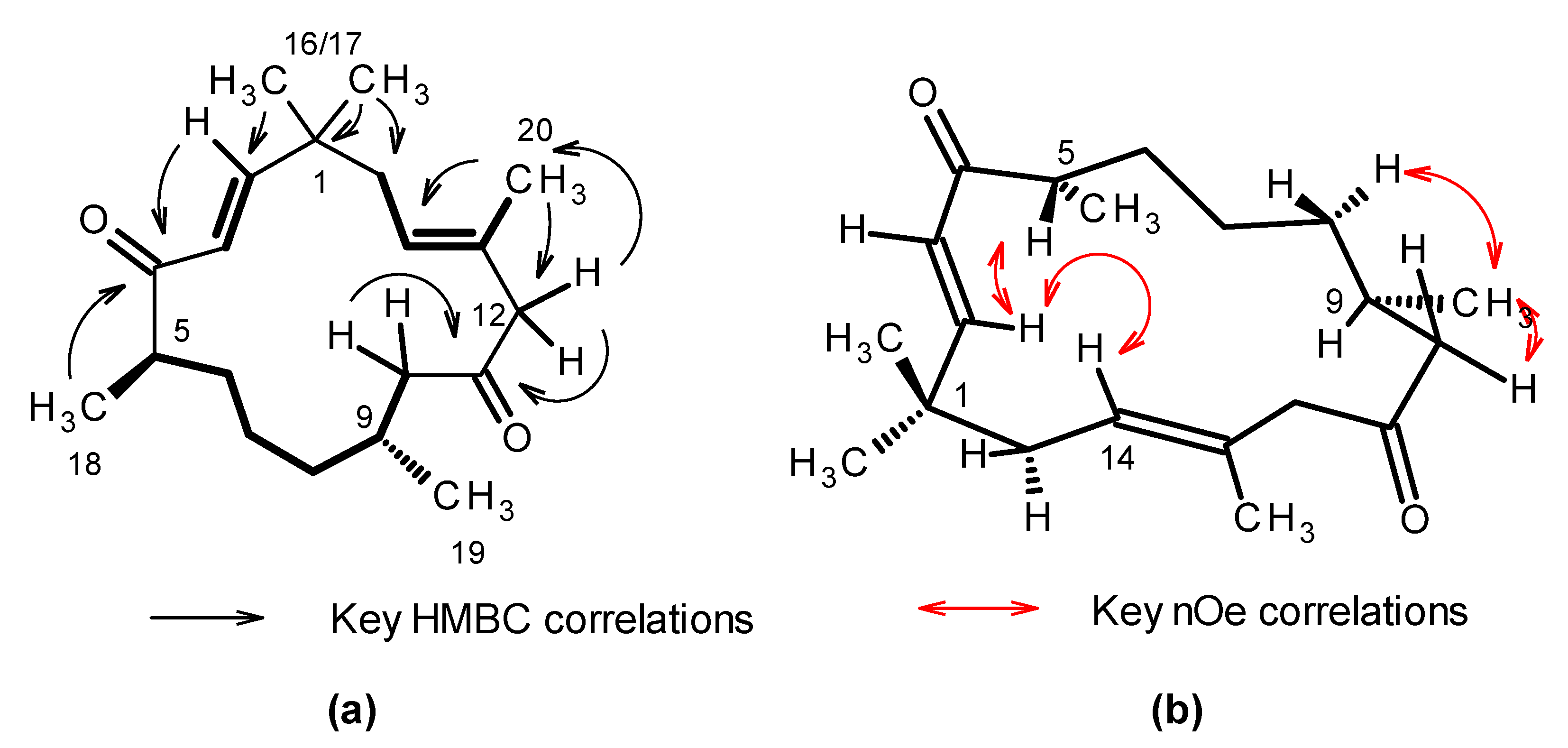 Marinedrugs 19 00179 g002 Marinedrugs 19 00179 g002