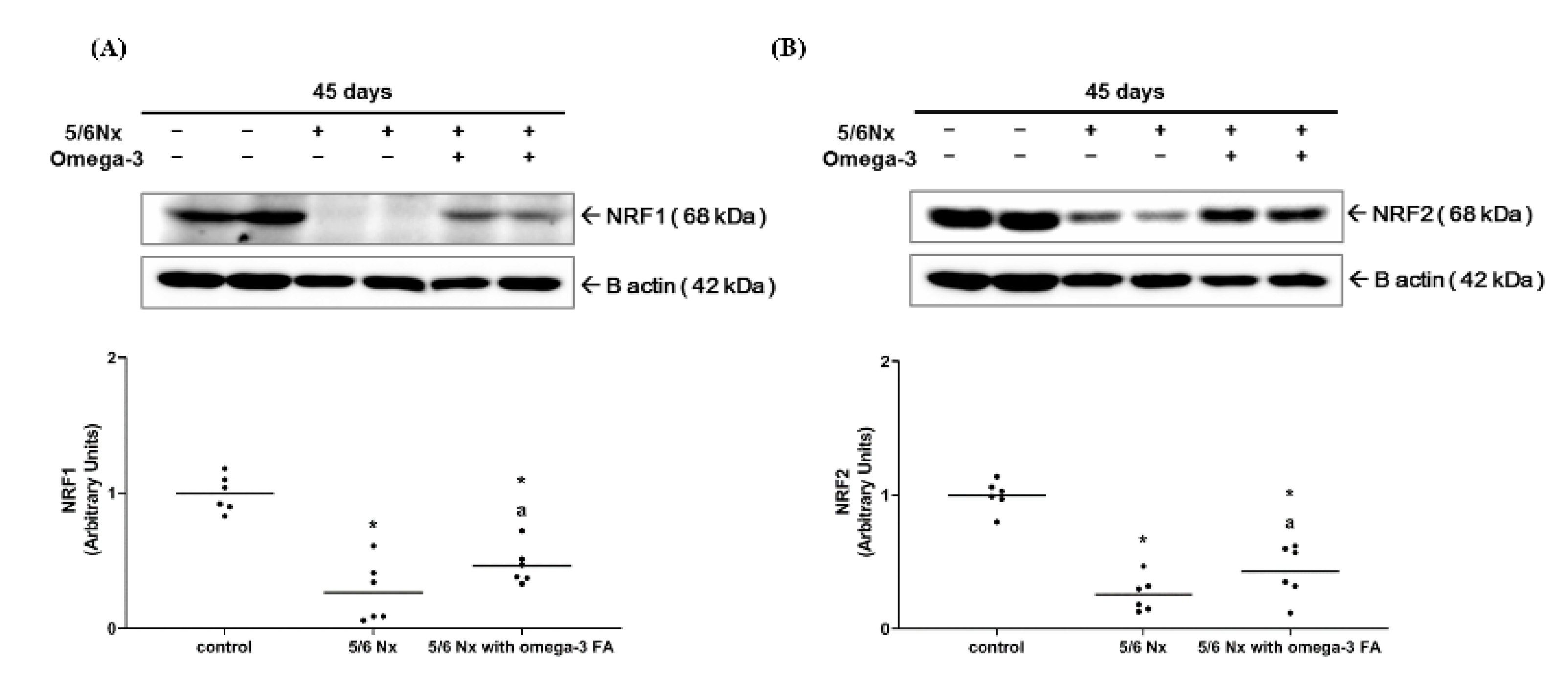 Marinedrugs 19 00182 g001 Marinedrugs 19 00182 g001