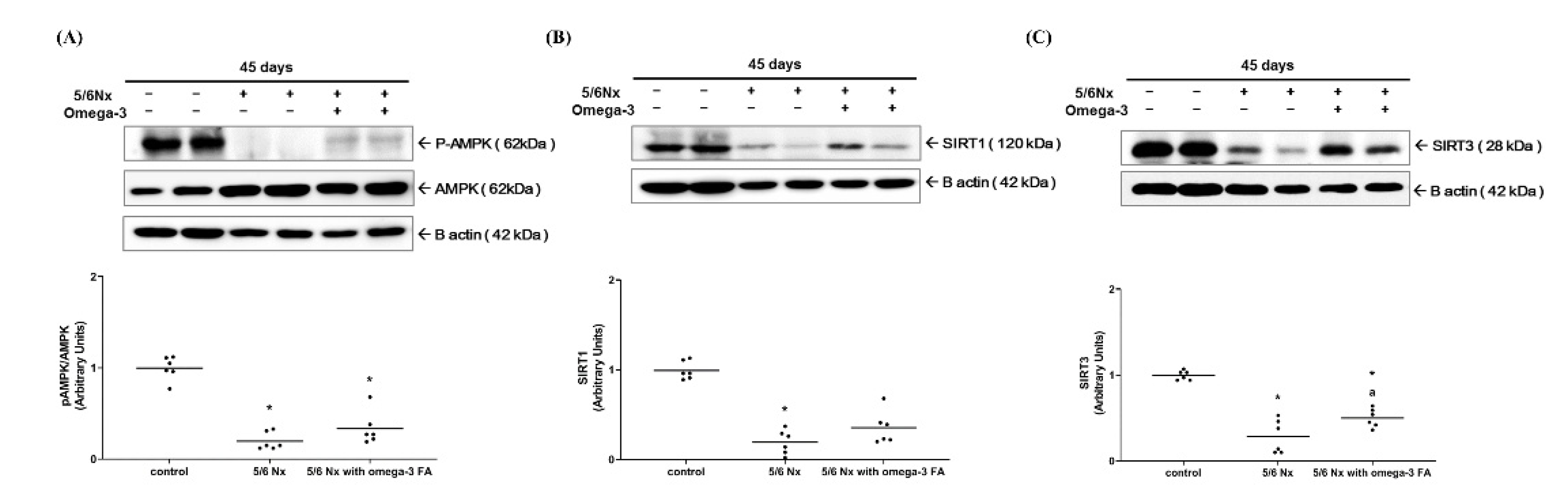 Marinedrugs 19 00182 g003 Marinedrugs 19 00182 g003