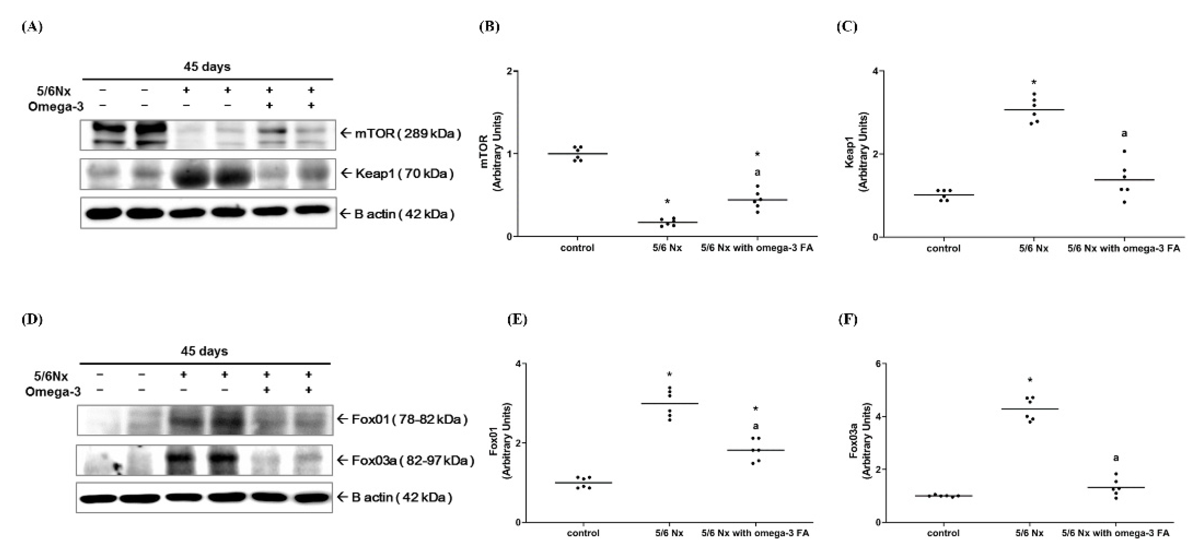 Marinedrugs 19 00182 g004 Marinedrugs 19 00182 g004