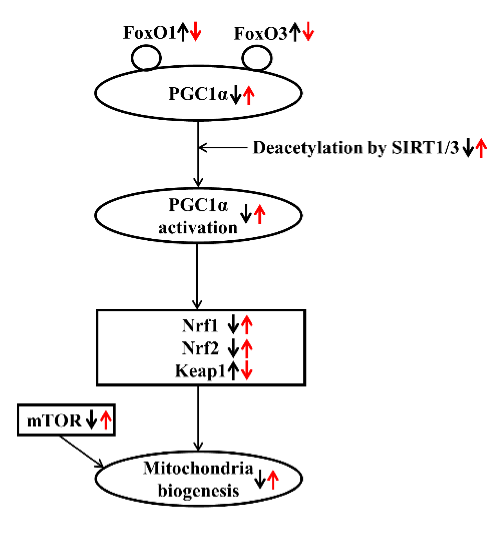 Marinedrugs 19 00182 g005 Marinedrugs 19 00182 g005