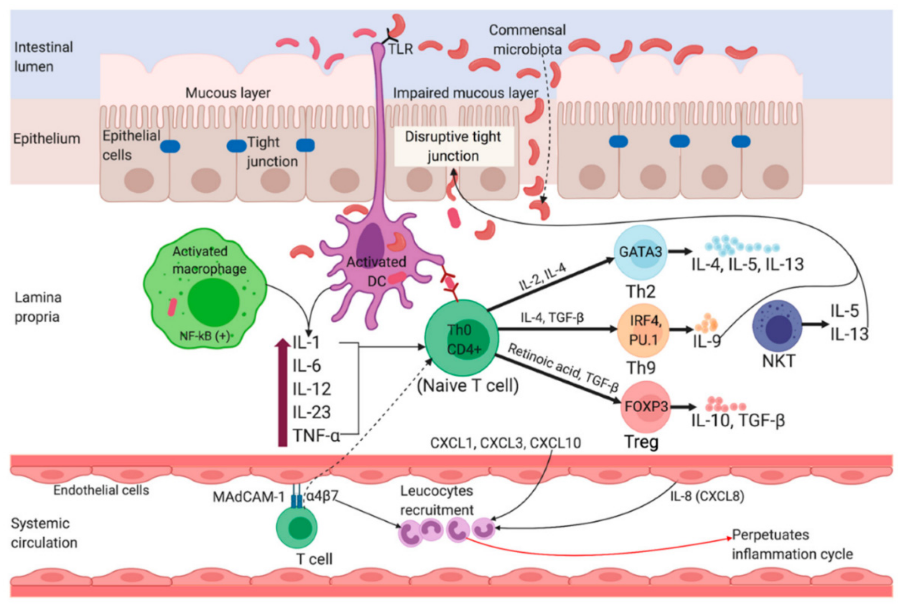 Marinedrugs 19 00196 g002