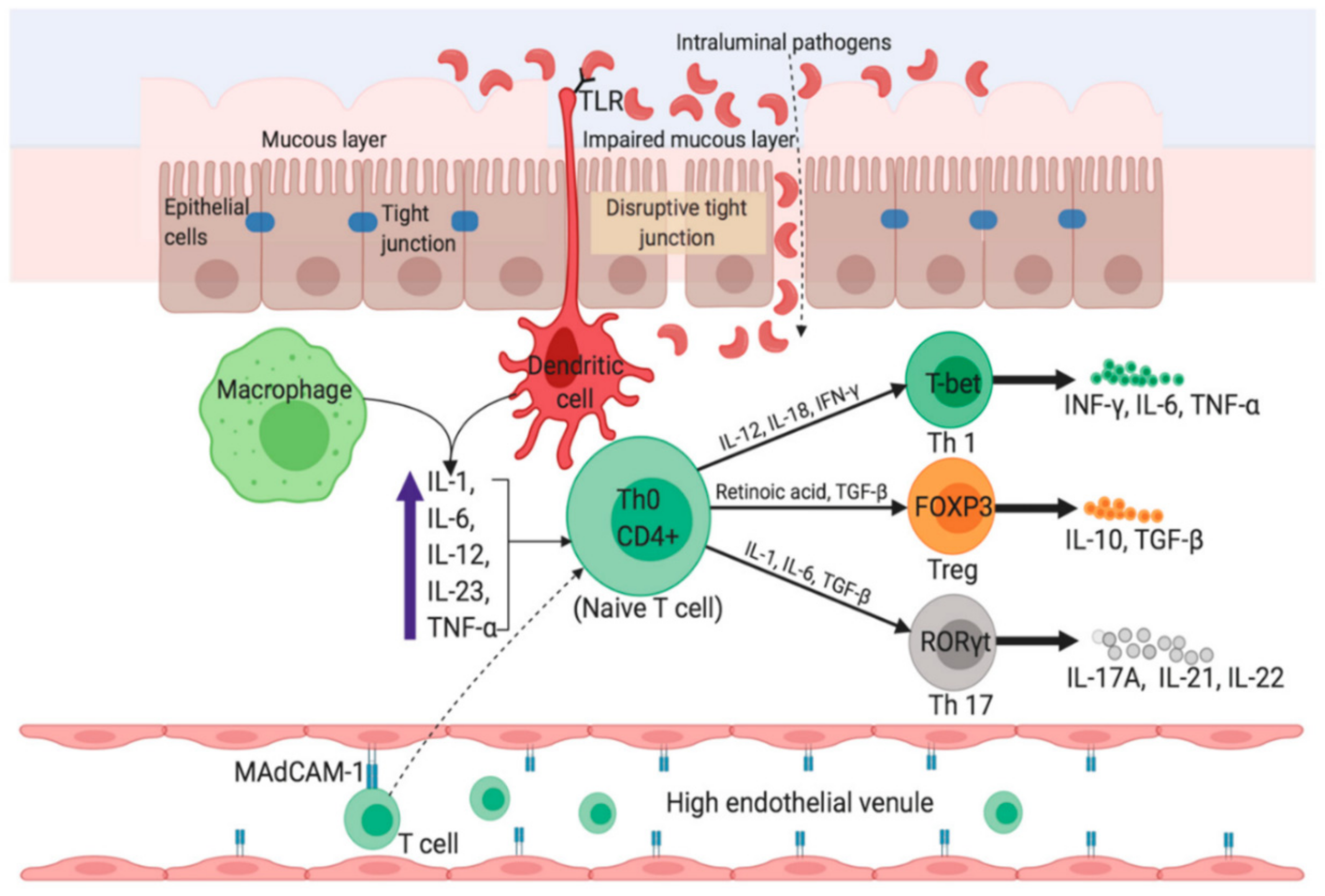 Marinedrugs 19 00196 g003
