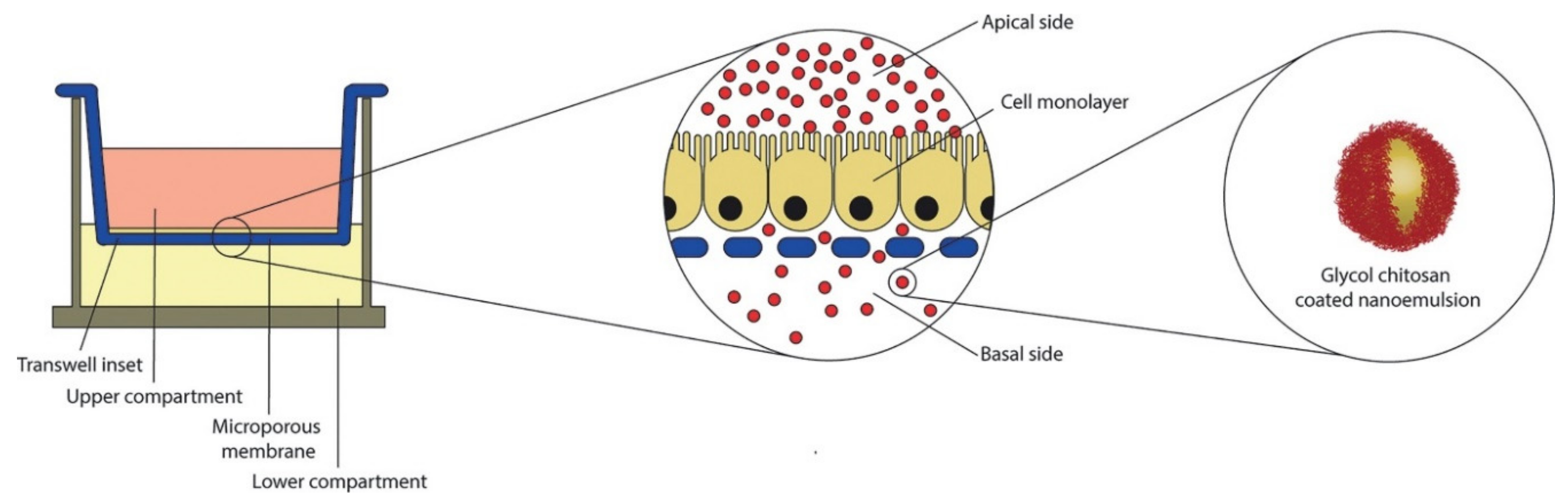 Marinedrugs 19 00196 g005