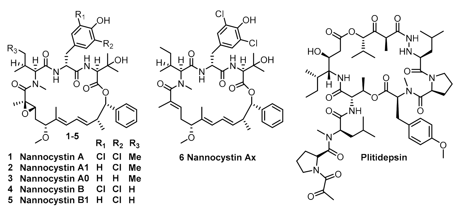 Marinedrugs 19 00198 g001 Marinedrugs 19 00198 g001