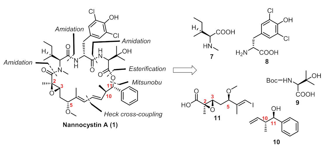 Marinedrugs 19 00198 g002 Marinedrugs 19 00198 g002