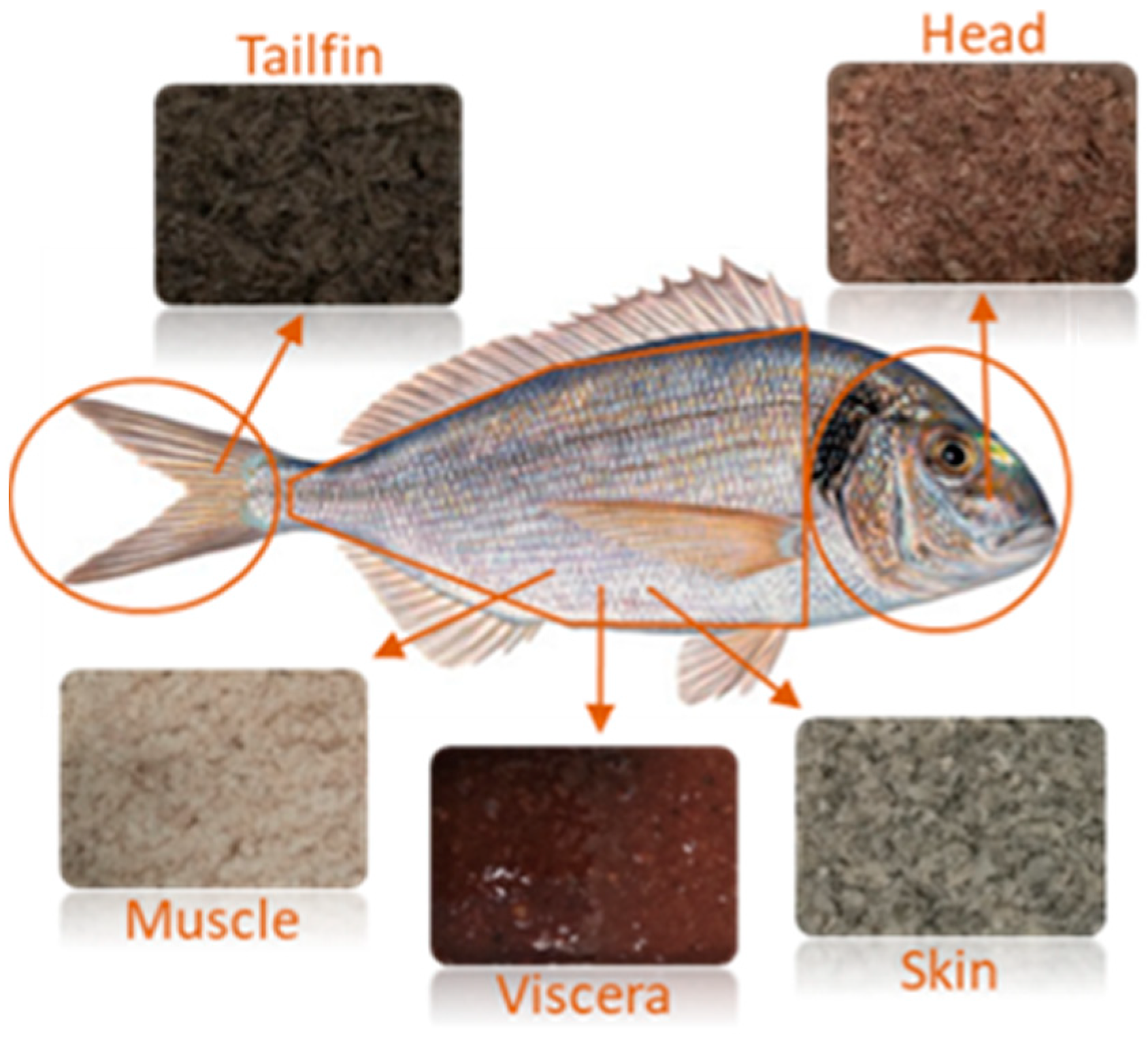 Marinedrugs 19 00199 g004