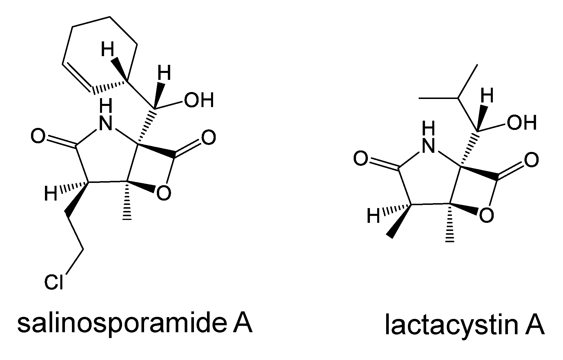 Marinedrugs 19 00205 g006 Marinedrugs 19 00205 g006