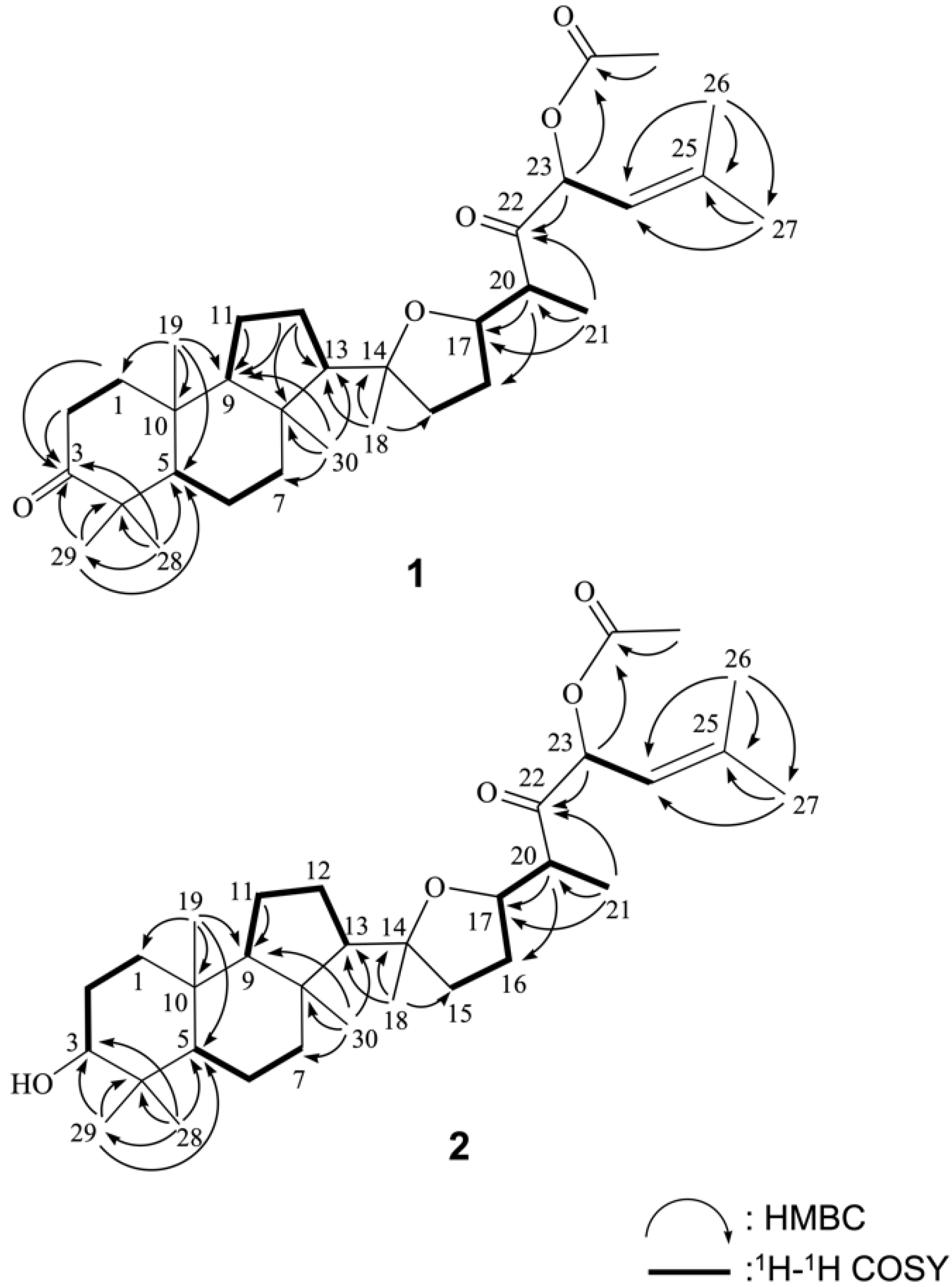 Marinedrugs 19 00206 g002