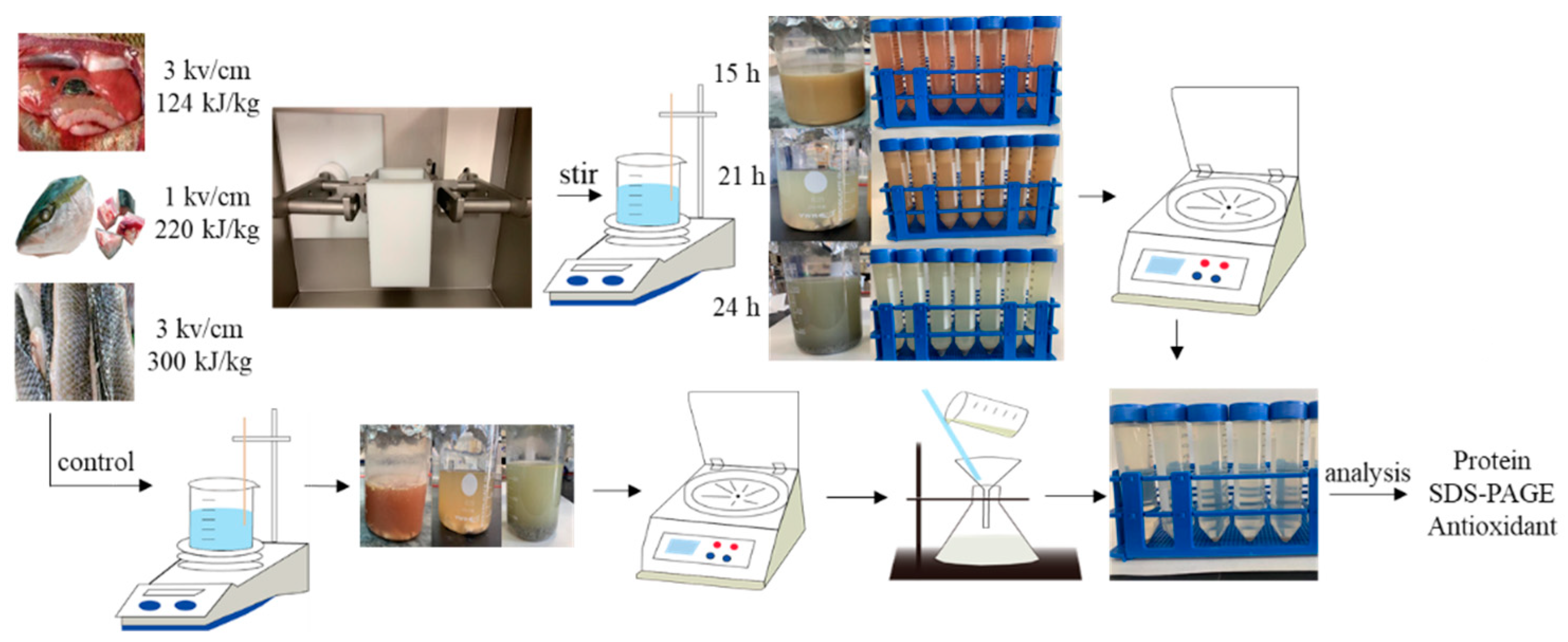 Marinedrugs 19 00207 g007 Marinedrugs 19 00207 g007