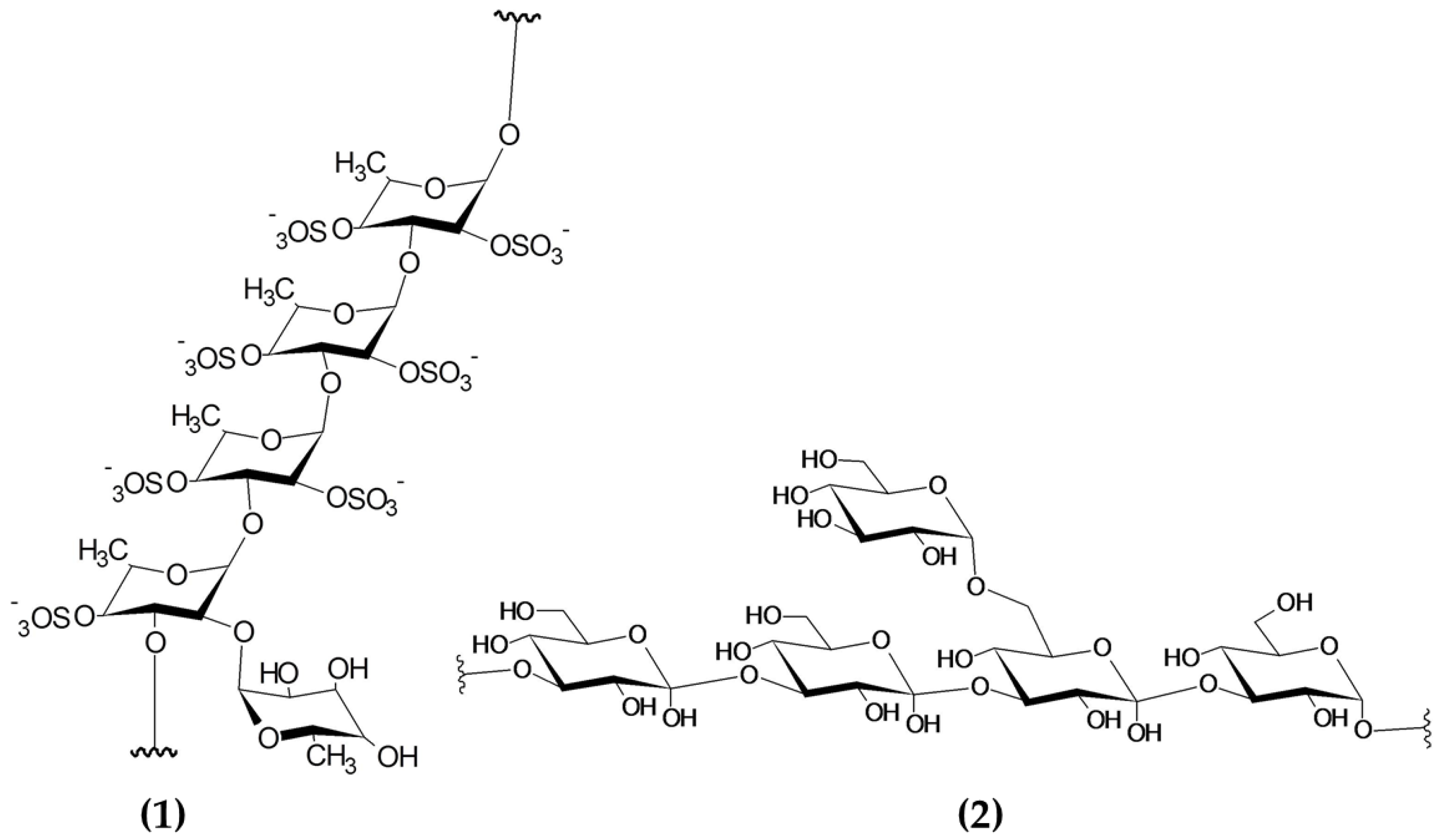 Marinedrugs 19 00211 g005