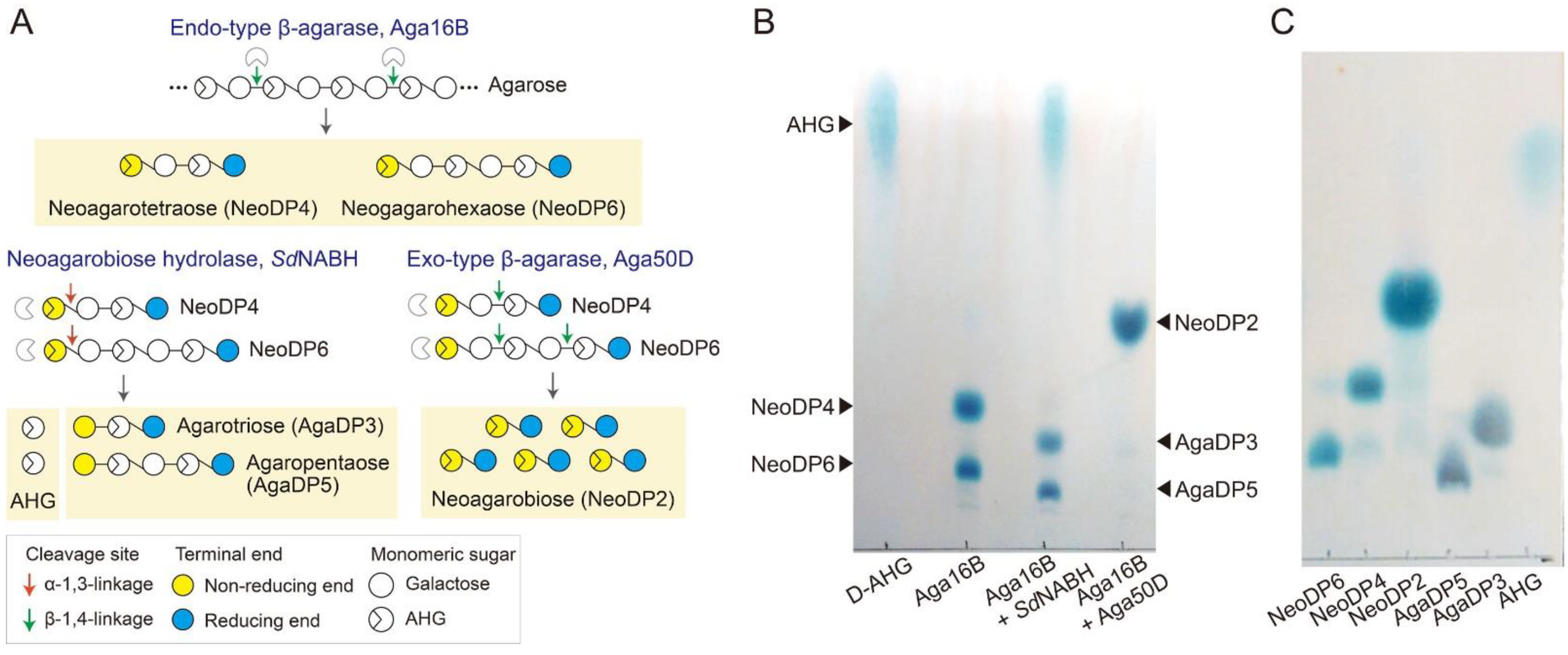 Marinedrugs 19 00213 g001