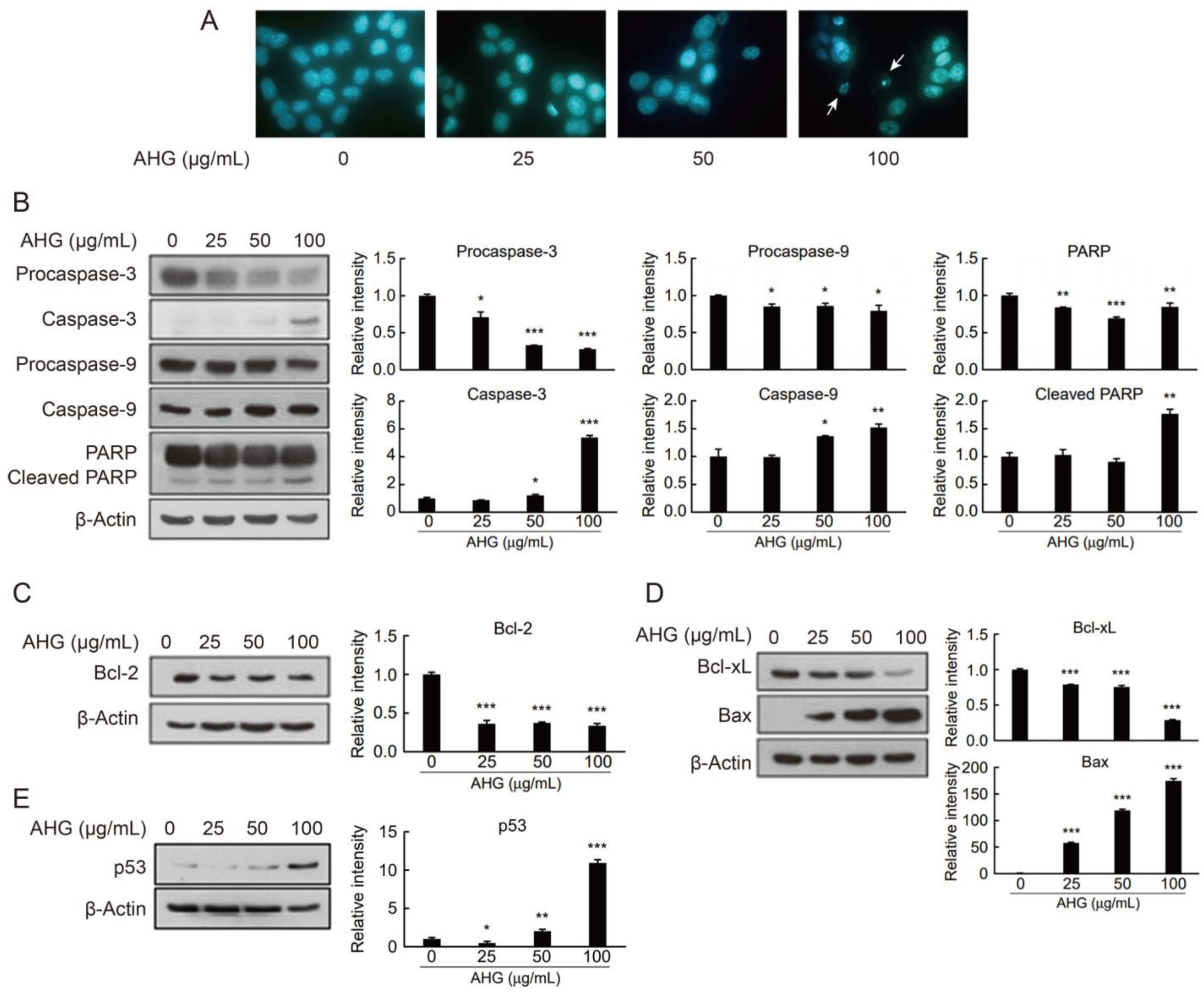 Marinedrugs 19 00213 g005