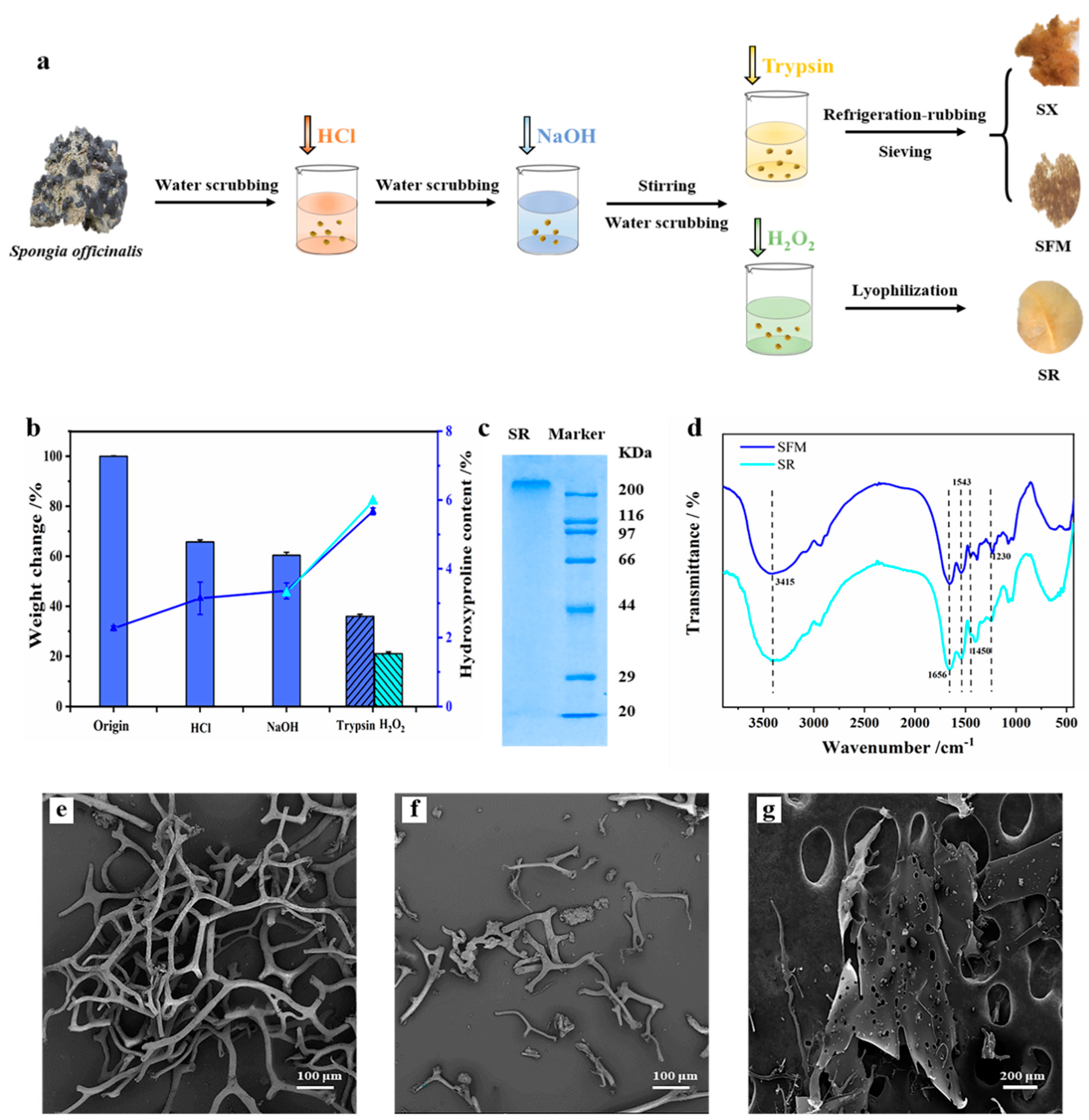 Marinedrugs 19 00220 g001
