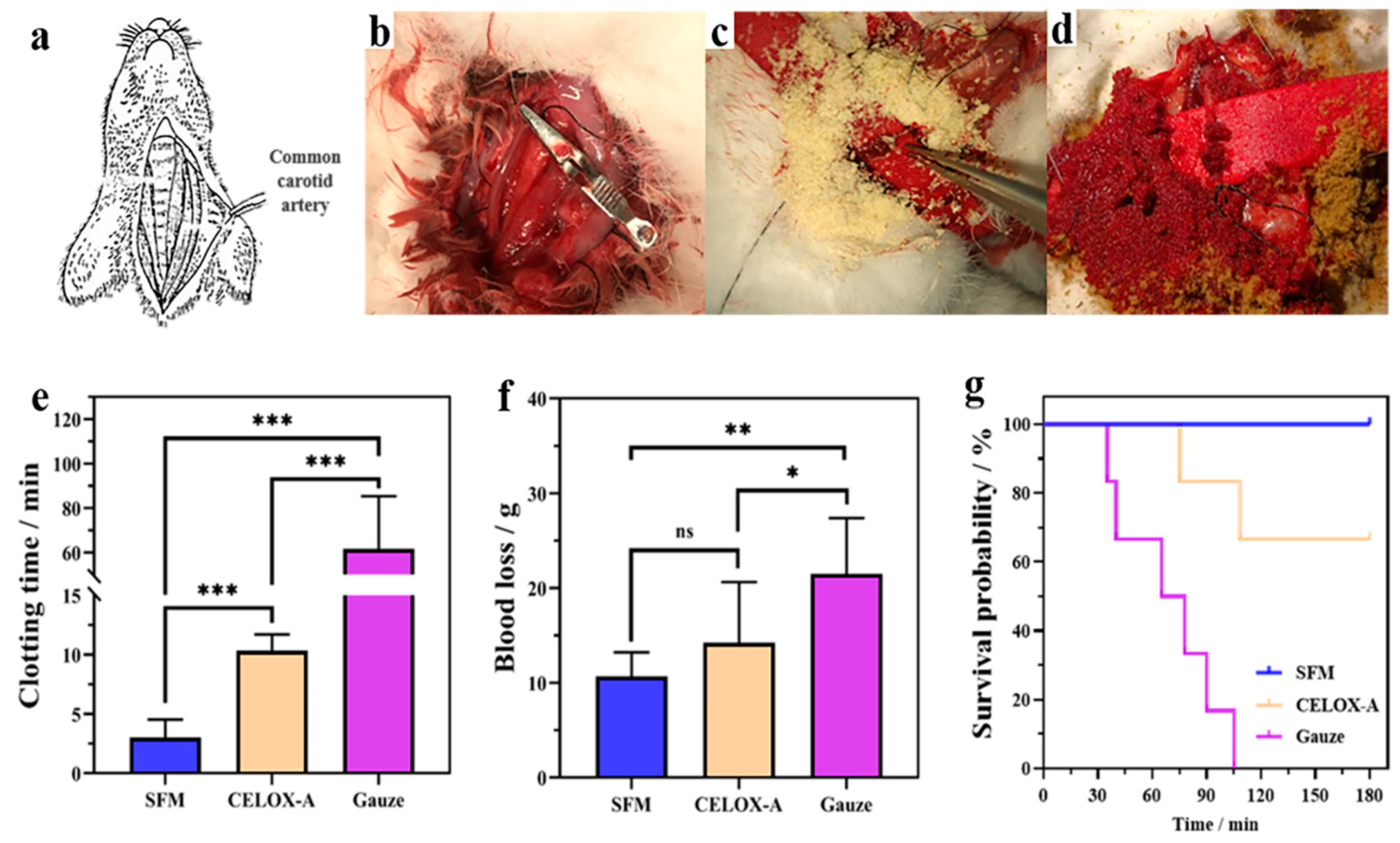 Marinedrugs 19 00220 g004