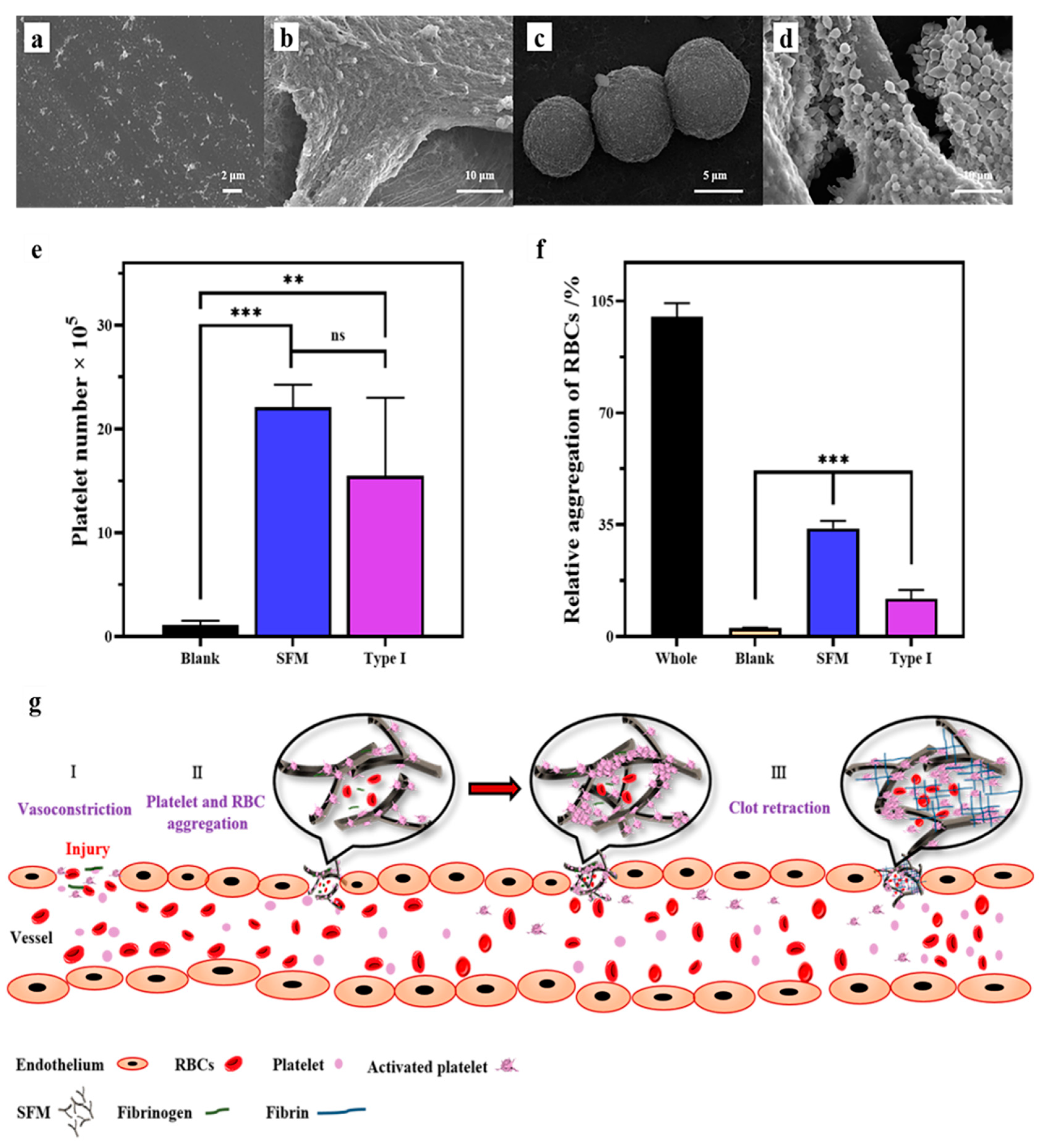 Marinedrugs 19 00220 g005