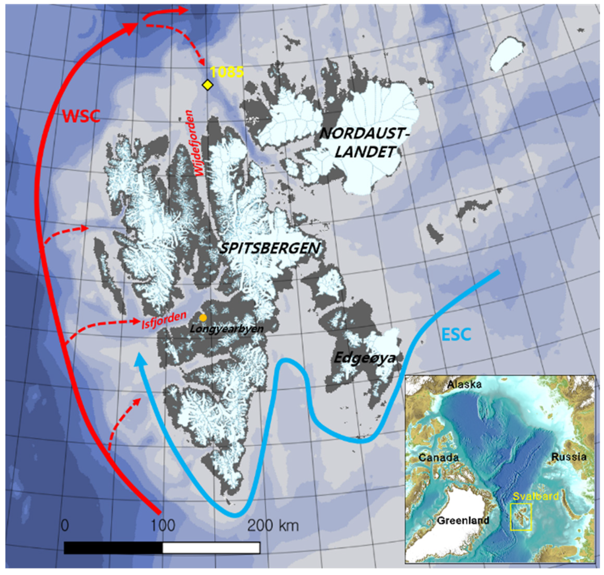 Marinedrugs 19 00229 g006