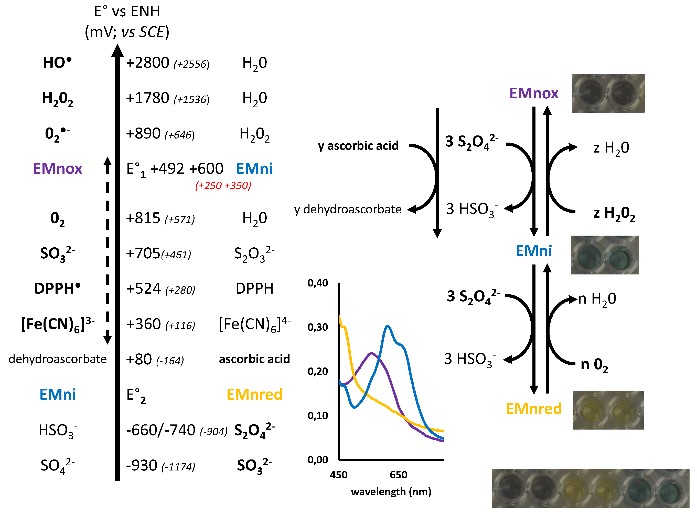 Marinedrugs 19 00231 g006