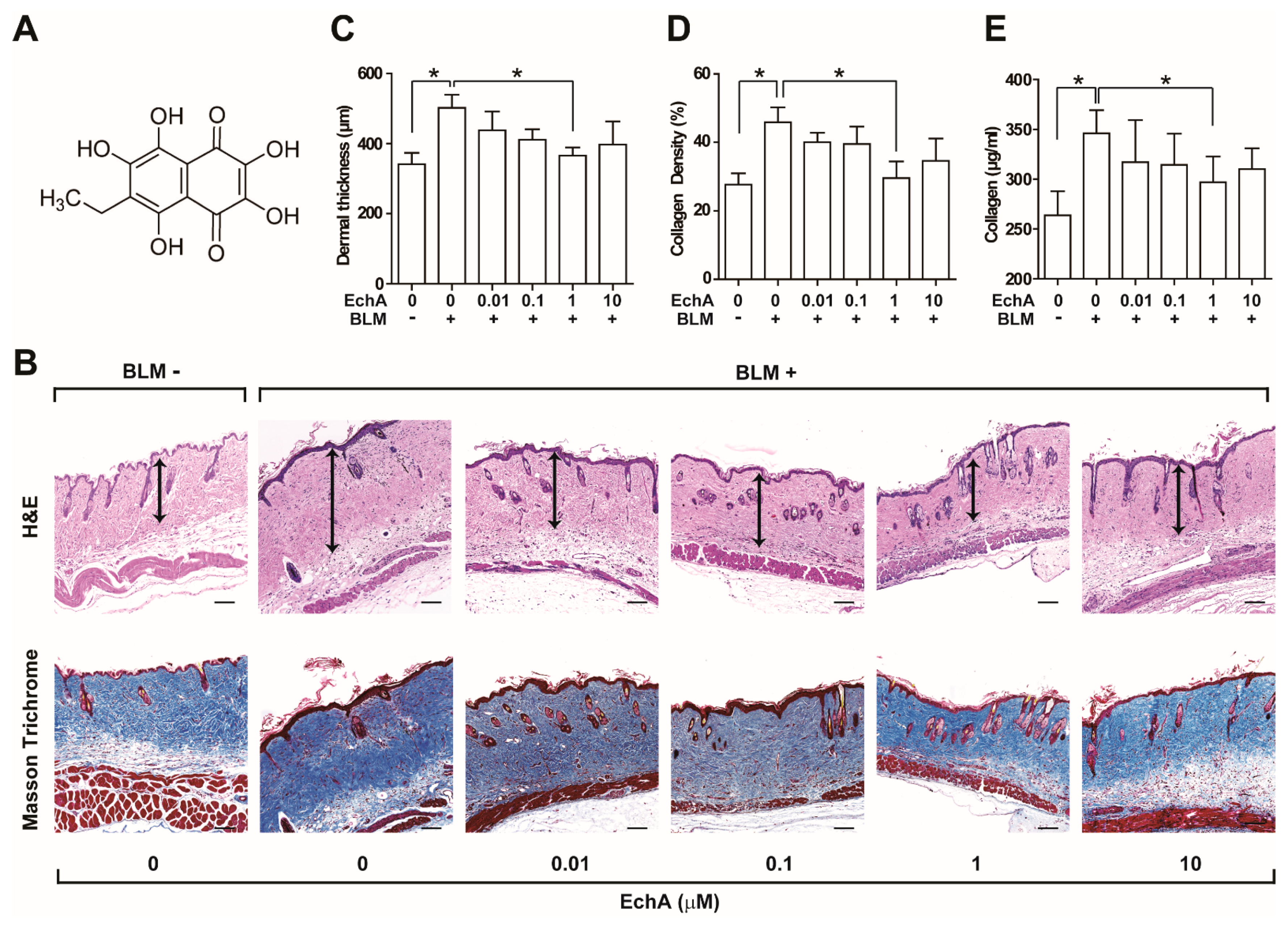 Marinedrugs 19 00237 g001