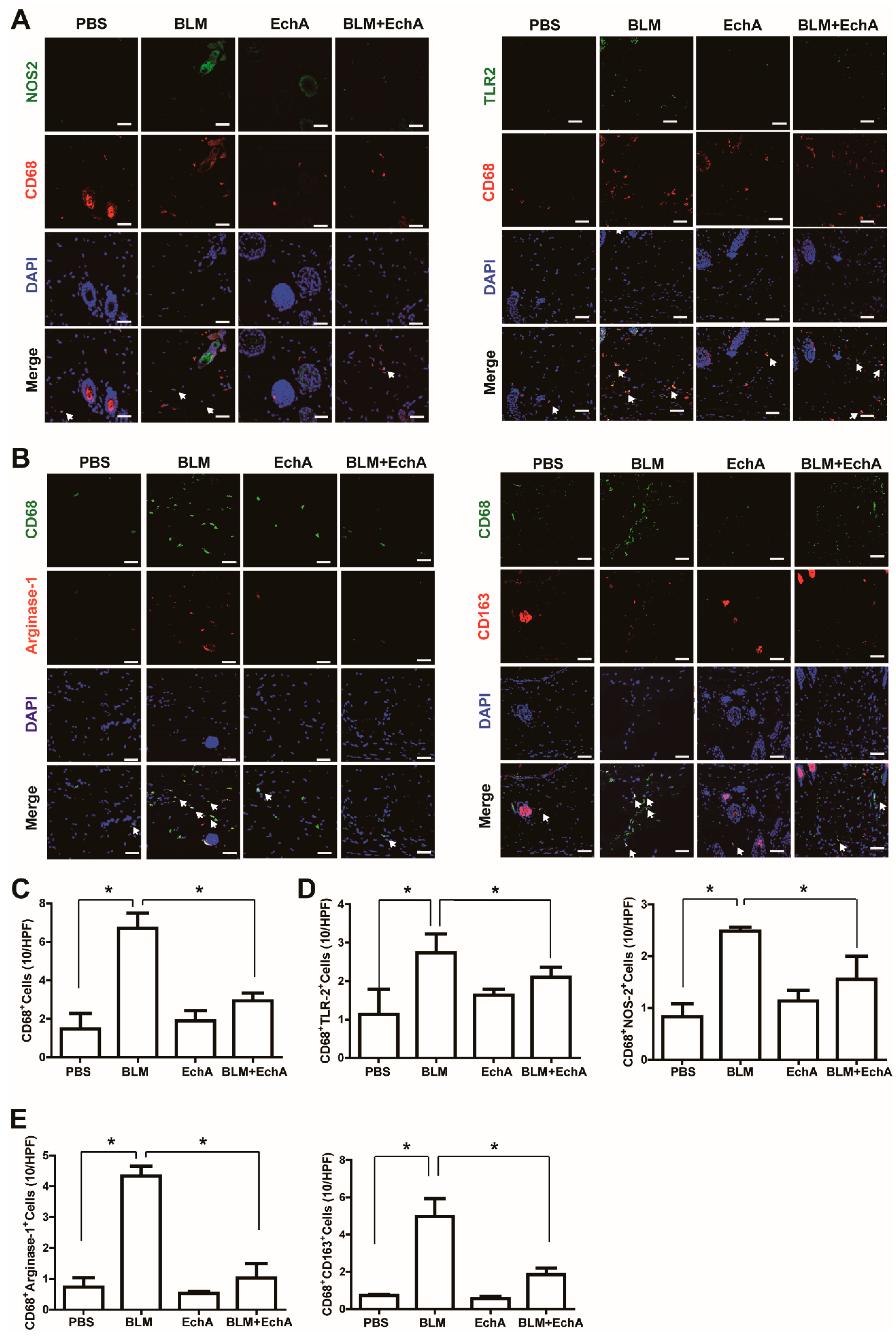 Marinedrugs 19 00237 g003