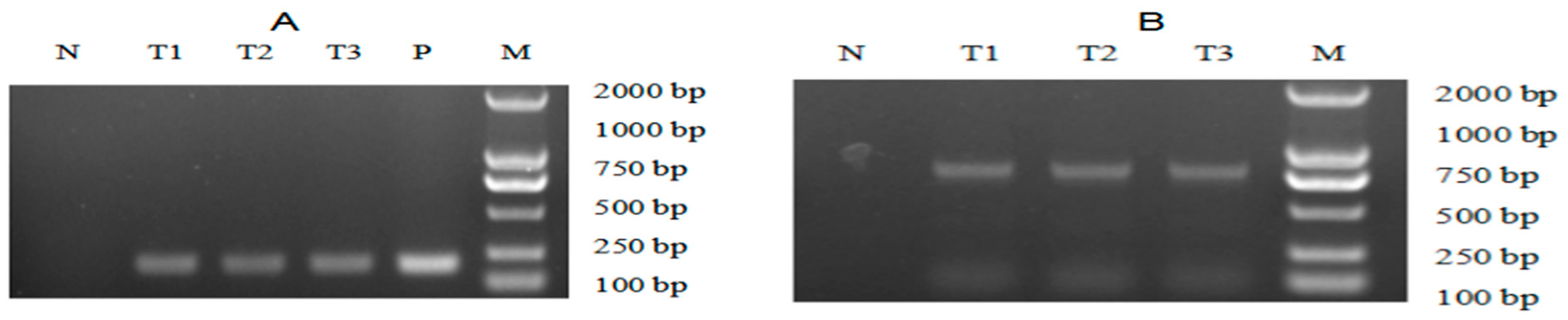 Marinedrugs 19 00239 g005