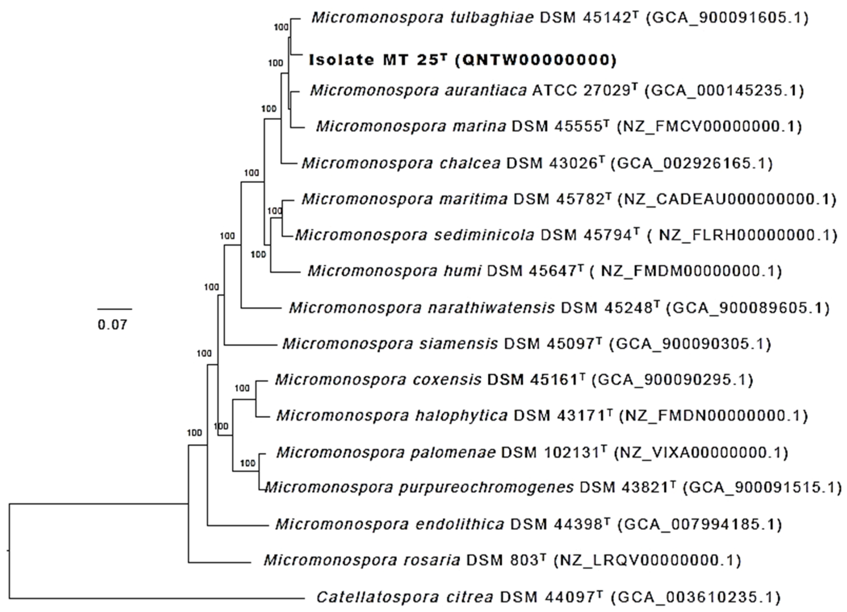 Marinedrugs 19 00243 g005