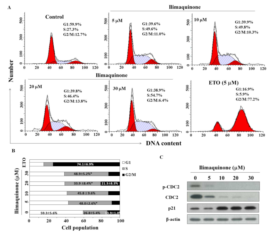 Marinedrugs 19 00244 g002