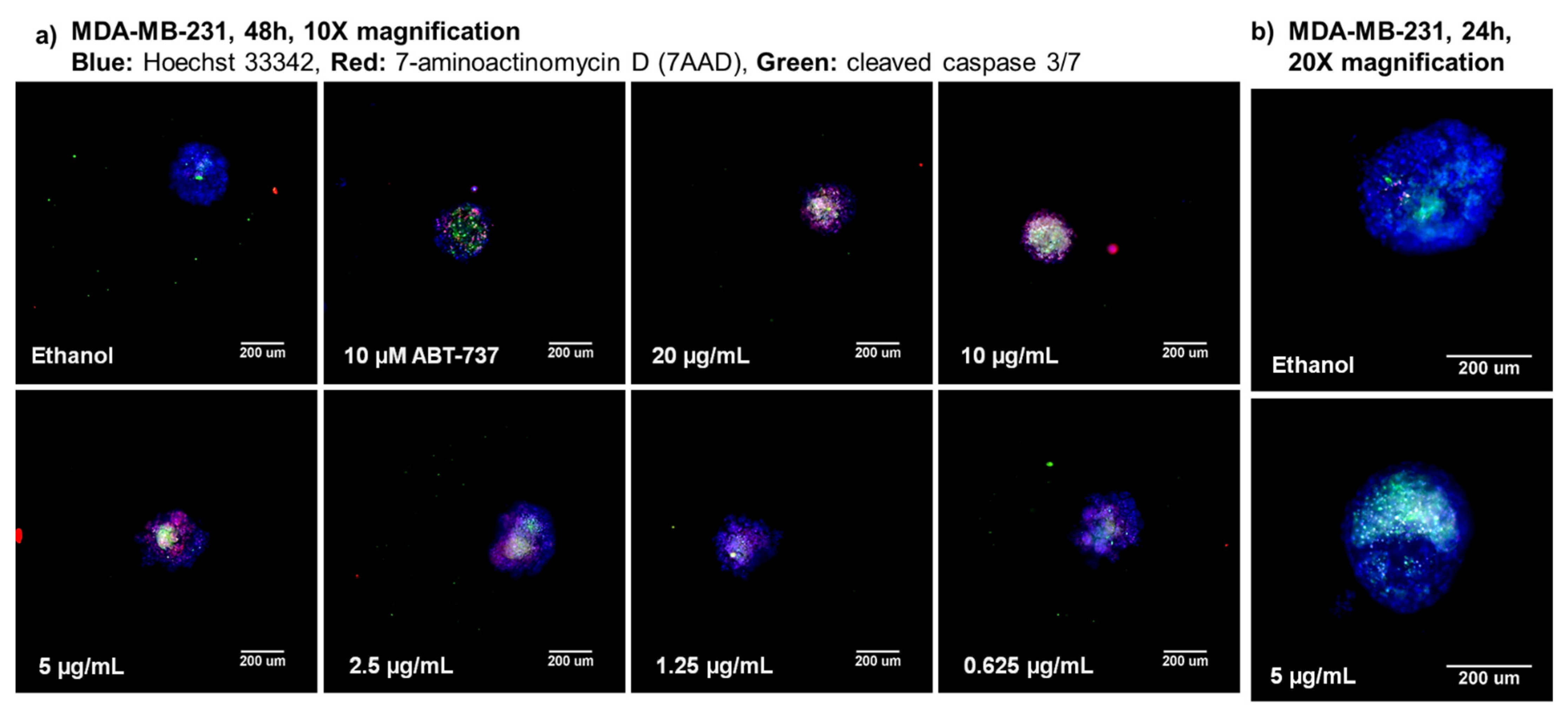 Marinedrugs 19 00249 g003