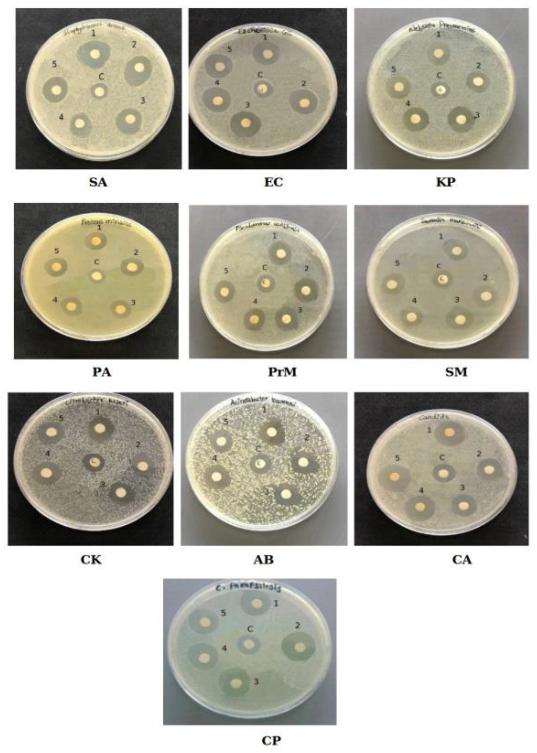 Marinedrugs 19 00263 g004