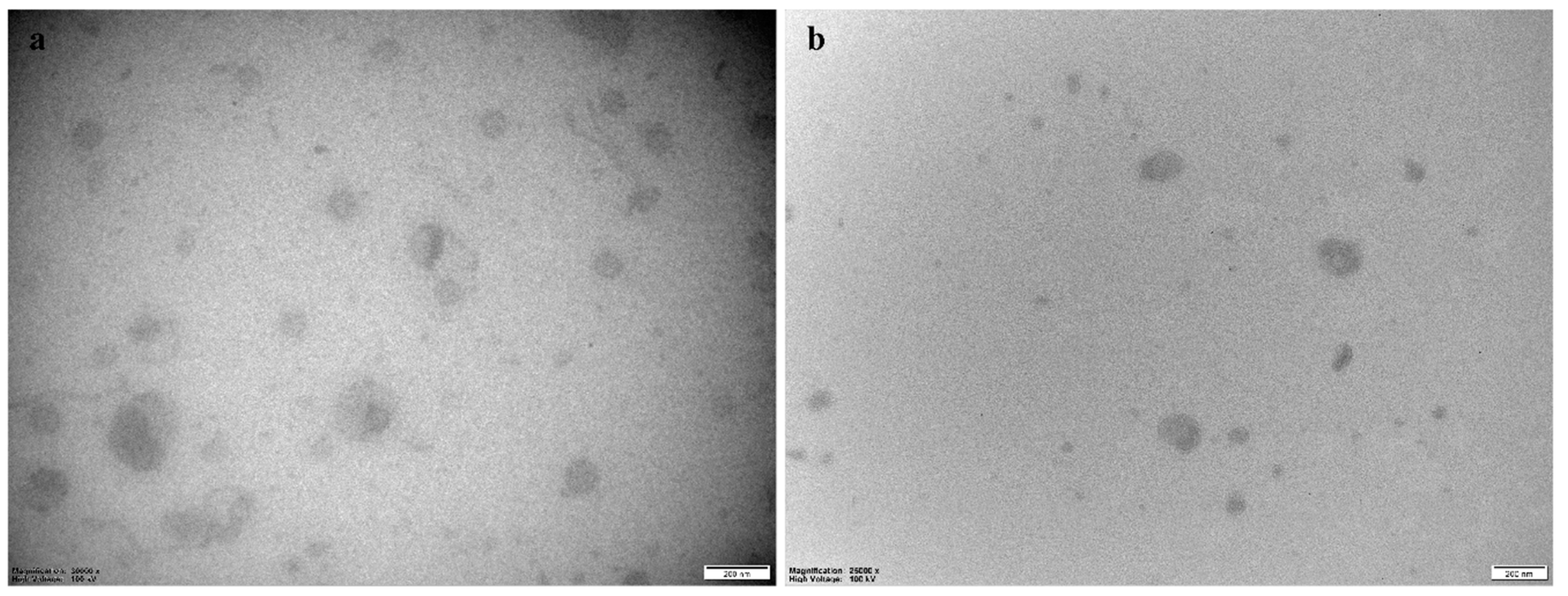 Marinedrugs 19 00269 g002 Marinedrugs 19 00269 g002