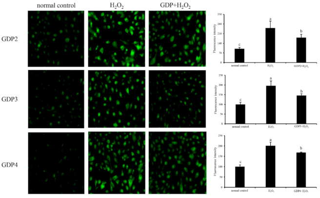 Marinedrugs 19 00270 g004