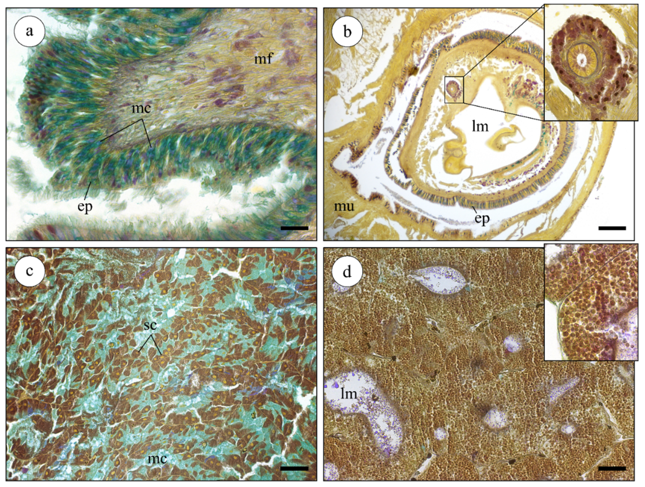 Marinedrugs 19 00276 g002