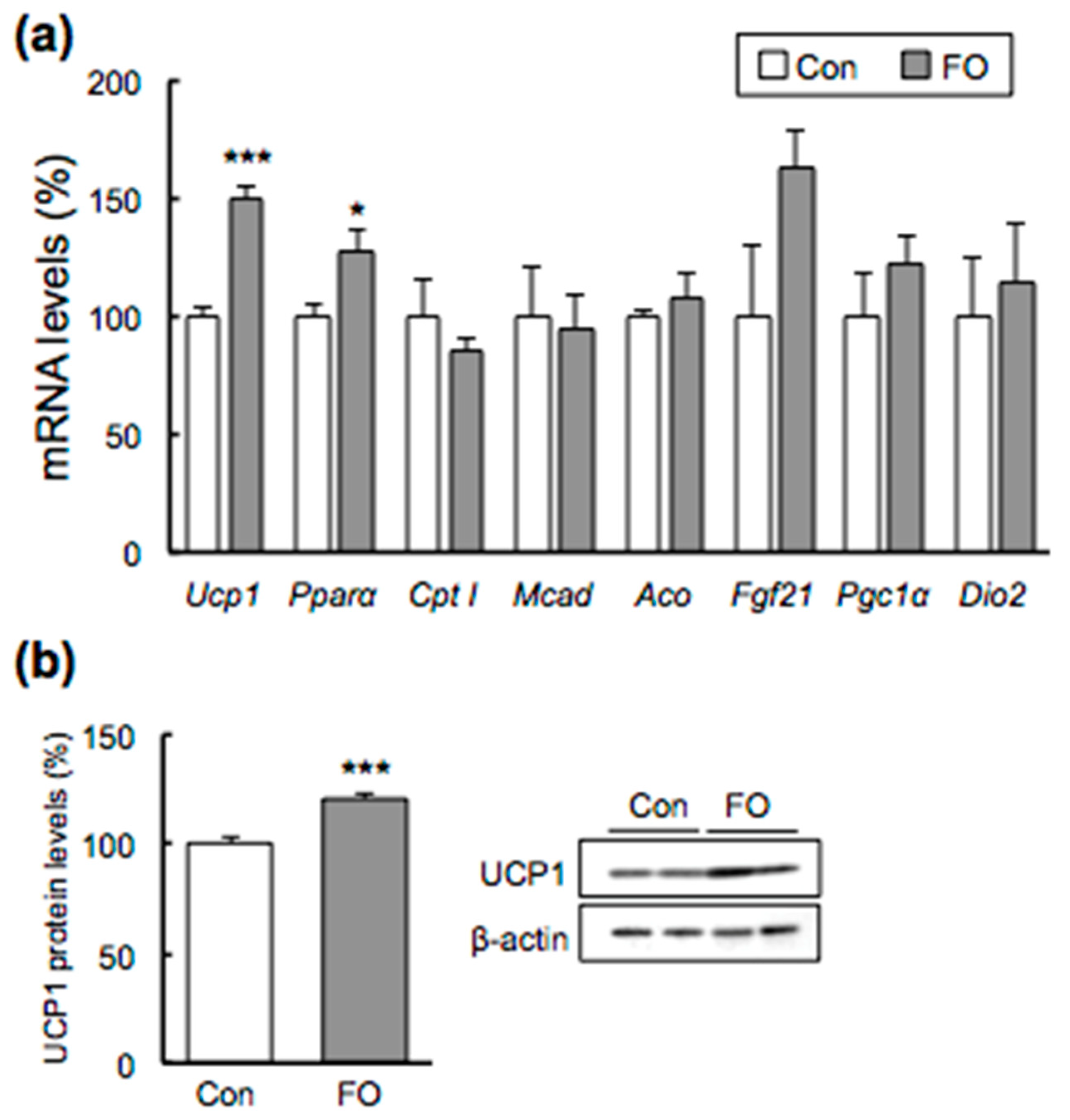 Marinedrugs 19 00278 g003